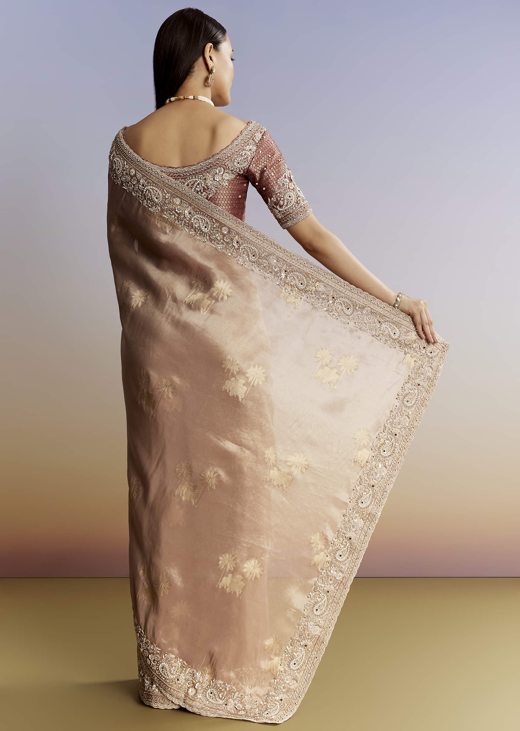 gold-tissue-saree-with-heavy-embroidered-border-and-blouse-sg319467-6_c0cbc6be-7e4c-47a9-8d63-357558268564.jpg