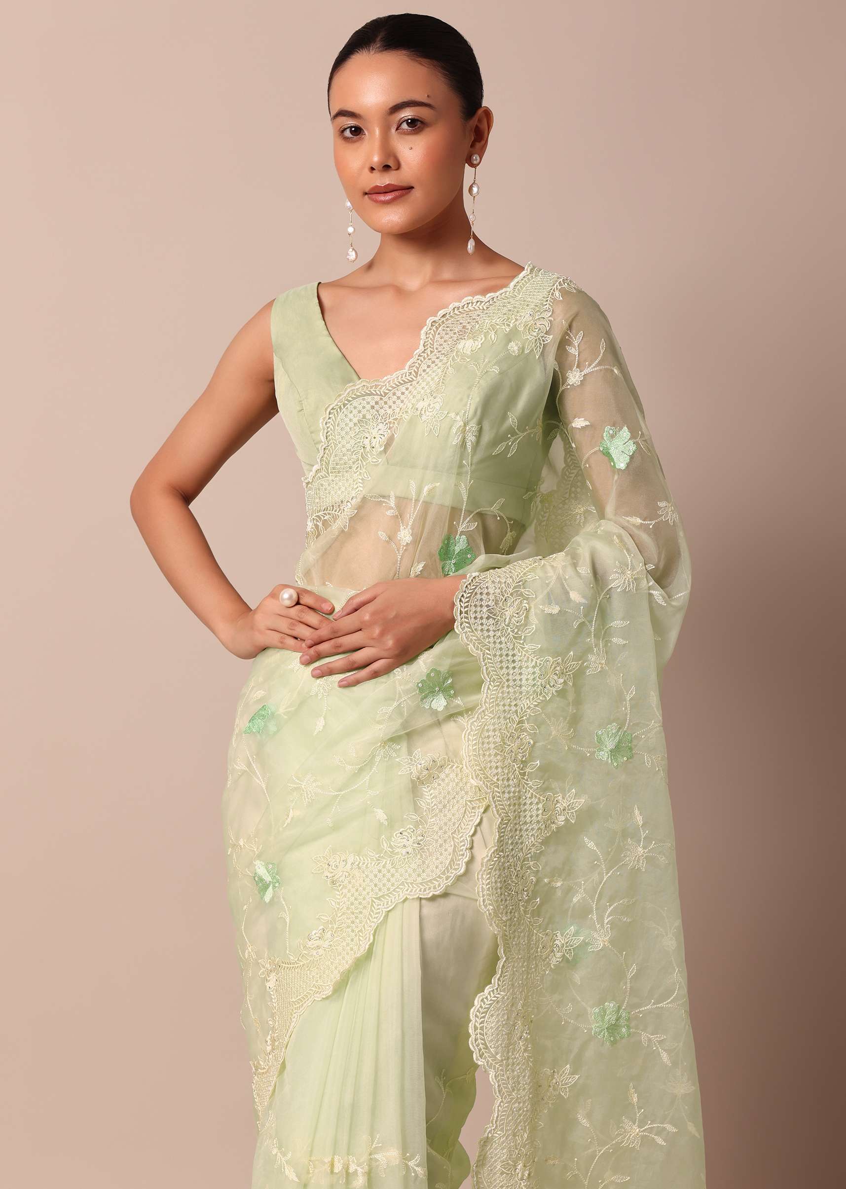 green_chikankari_saree_in_organza_silk_with_resham_floral_ja-sg214106_7_749aebe2-65fe-437c-a033-40146ebdc51d.jpg