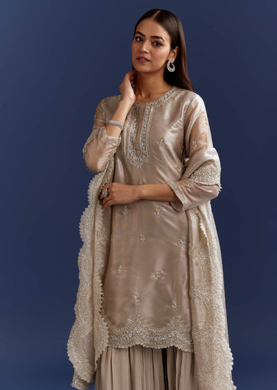 grey-cutdana-and-sequins-kurta-with-stone-work-dupatta-in-tissue-sg313943-4_649d9b5b-a7fa-4a29-b97e-2dcffe29a015.jpg