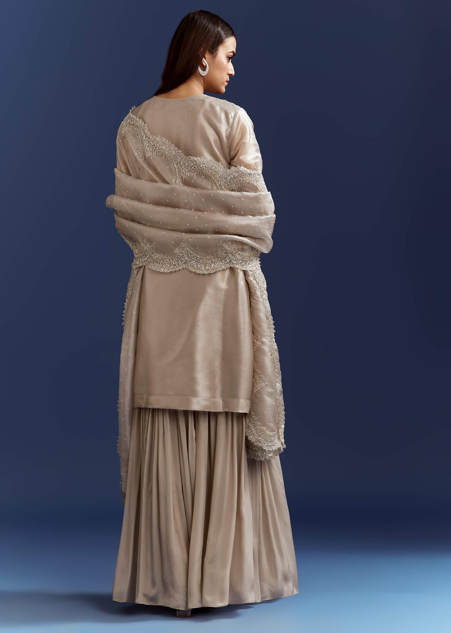 grey-cutdana-and-sequins-kurta-with-stone-work-dupatta-in-tissue-sg313943-5_fd884179-9cc3-41dc-a978-8b5af63d4a84.jpg