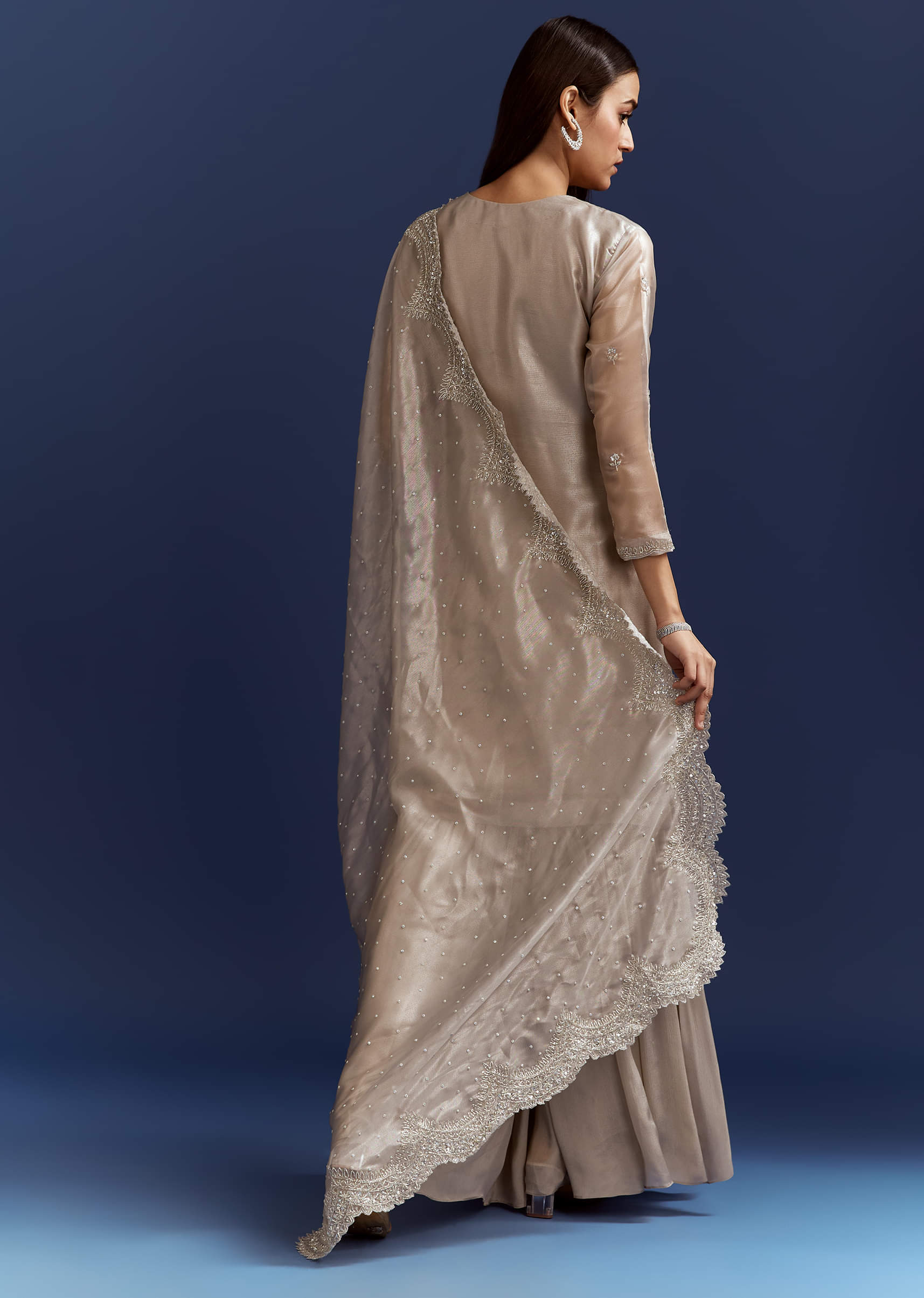 grey-cutdana-and-sequins-kurta-with-stone-work-dupatta-in-tissue-sg313943-6.jpg