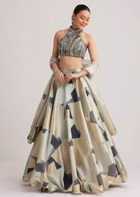 grey_and_gold_net_embroidered_lehenga_set-sg292505_5_c7bf521f-df7b-4505-9355-b25cd6f08de0.jpg