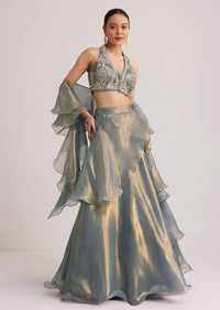 grey_organza_embellished_lehenga_set_with_dupatta-sg292517_5_651481b5-6dd0-40c6-9aca-3c235e849e0a.jpg