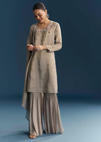 grey_tissue_sharara_suit_with_zardosi_and_resham-sg344169-6_6.jpg