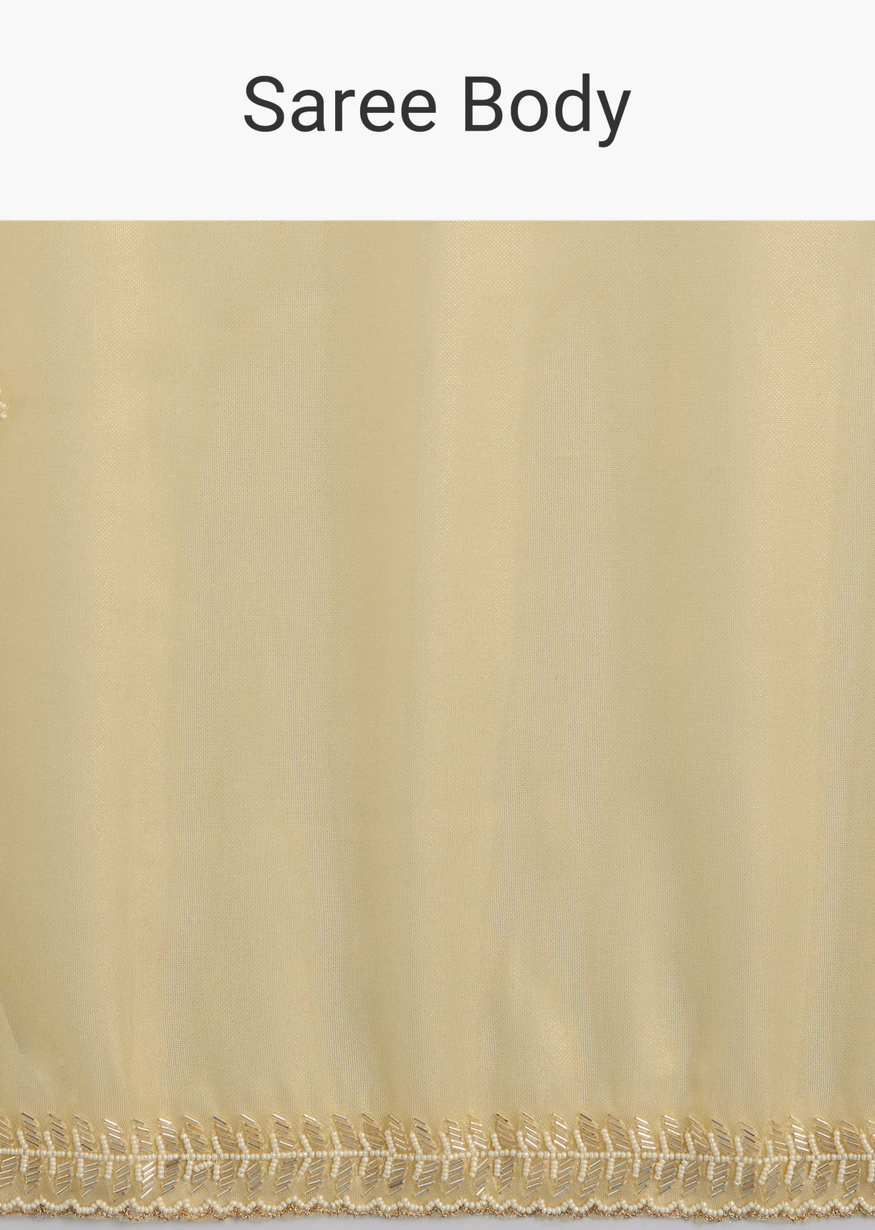 lemon-yellow-organza-tissue-saree-with-beaded-border-sg284664-9_a9d2e765-fc1d-48c9-bc0b-2ad4d8324ef1.jpg