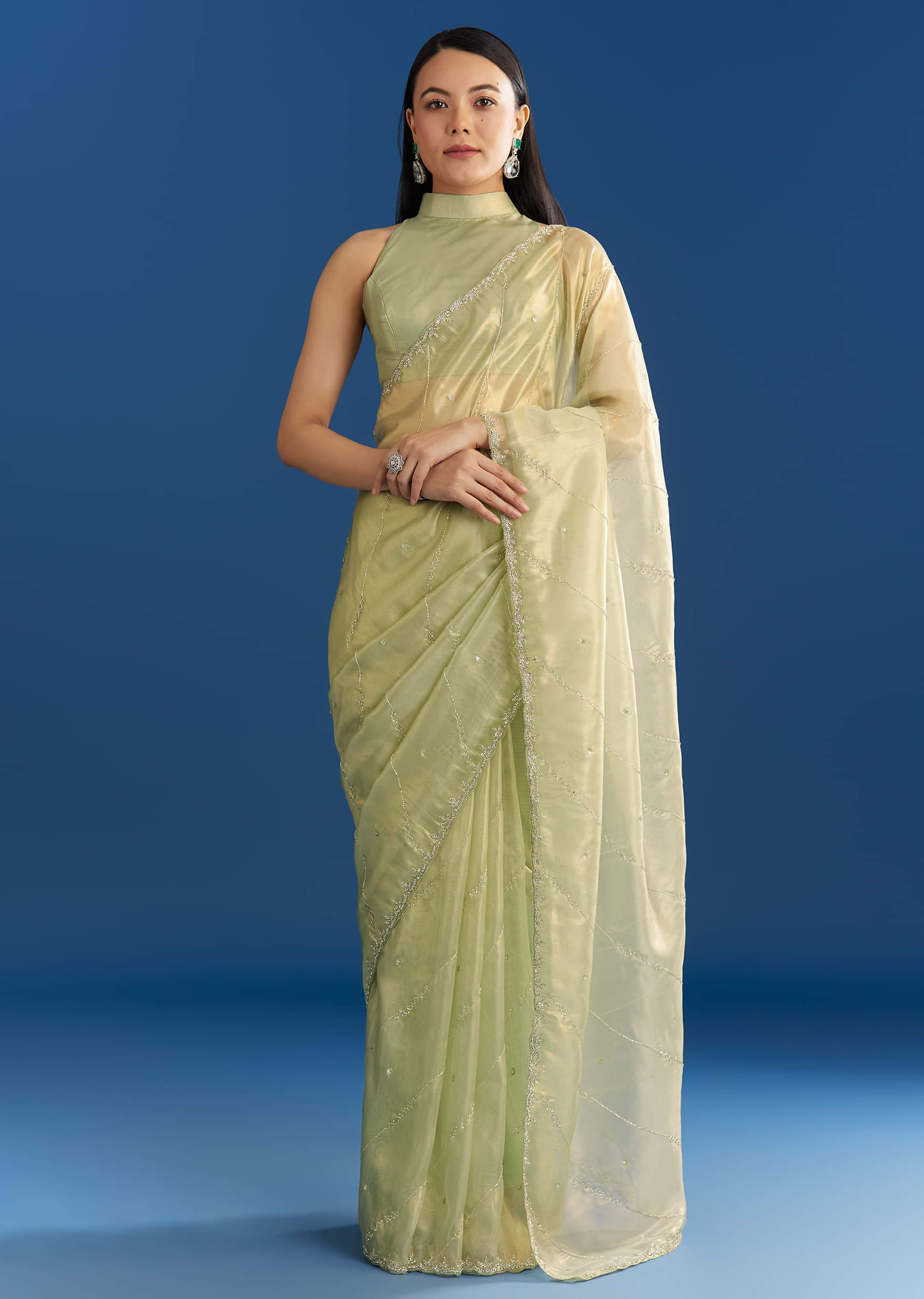 light-green-organza-tissue-saree-with-embroidered-scallop-border-sg284708-1_a8056b7d-57b2-415d-830b-903952e986fa.jpg