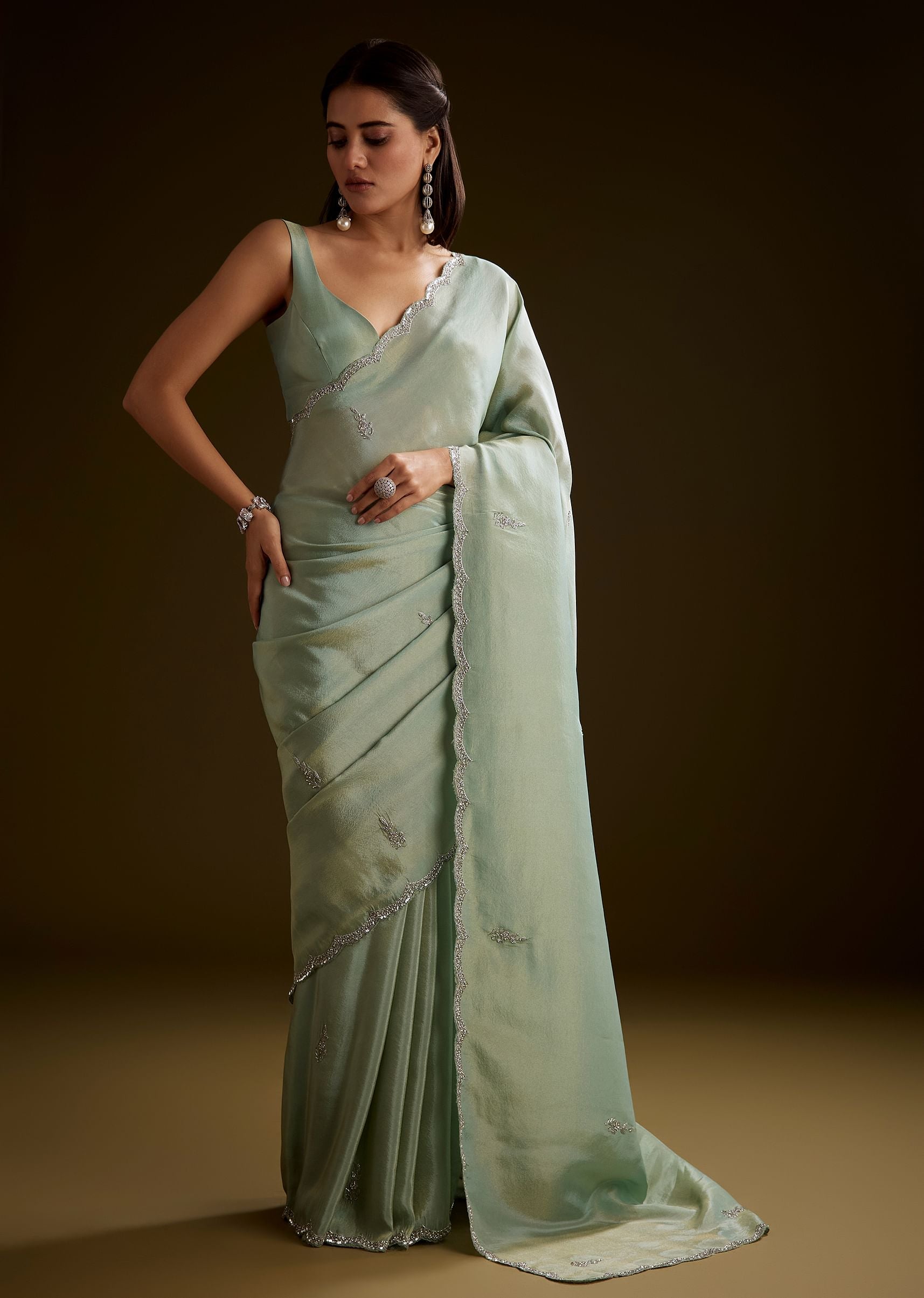 light-green-tissue-saree-with-cutdana-embroidery-and-scallop-border-sg285413-5_d9d2985e-7db9-4d71-95a1-0f5d4c14b110.jpg