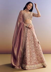 light-pink-banarasi-silk-lehenga-set-with-embroidered-choli-sg264594-1_78e39226-e0bd-4c57-b932-2e7071013ed4.jpg