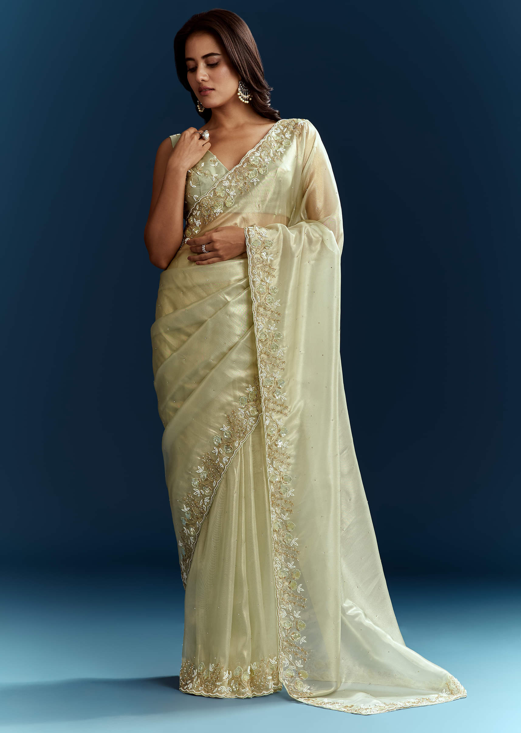 light-pista-organza-saree-with-floral-cutdana-and-stone-embroidery-sg284736-2_73b7031a-d21b-484d-ae7b-62ad6a9bf946.jpg