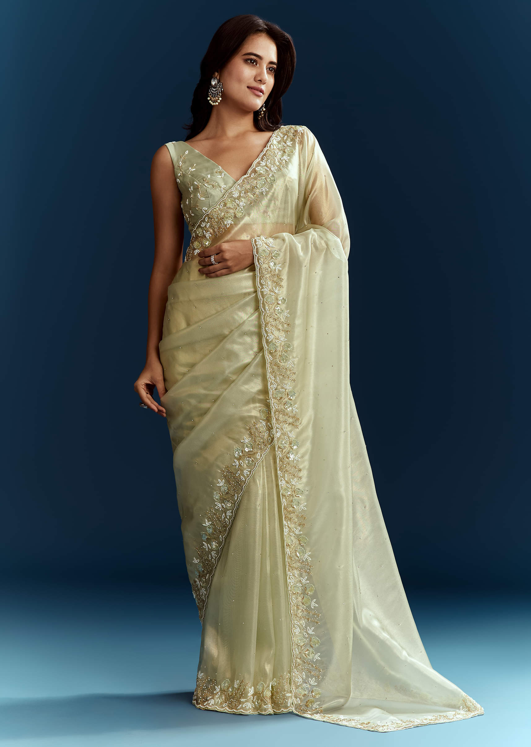 light-pista-organza-saree-with-floral-cutdana-and-stone-embroidery-sg284736-5_a8a35937-2d98-43b8-a007-5e8994e422b1.jpg