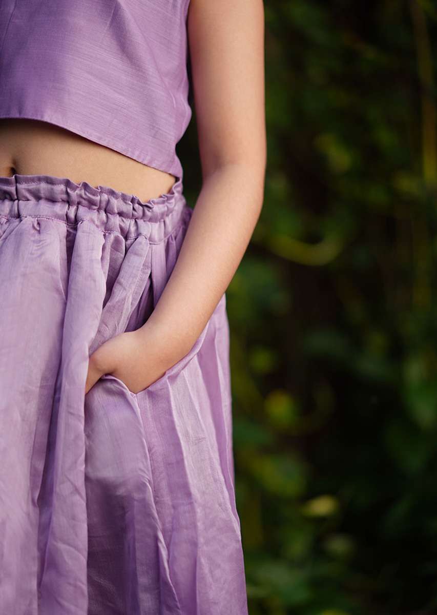 light-purple-skirt-and-crop-top-in-hand-woven-cotton-silk-with-tie-up-at-the-back-and-woven-border-by-love-the-world-today-m136c16d5f3y-sg52958_4_d2bfcd5f-4e9c-4aff-82e2-103fce26f89f.jpg