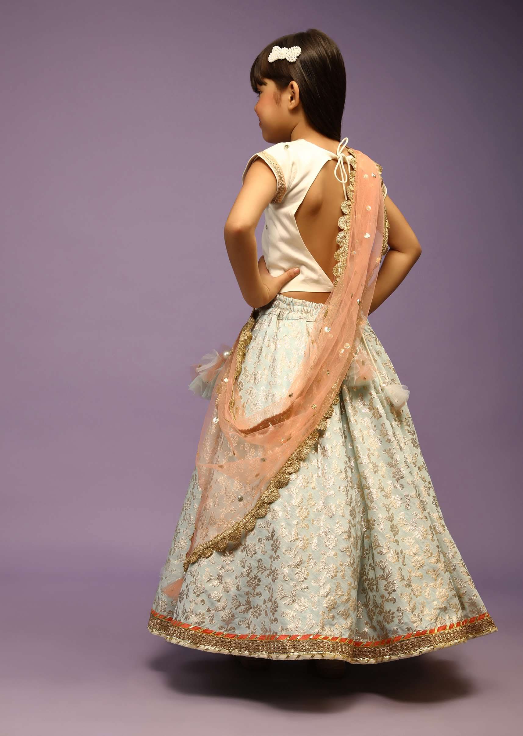 light_blue_lehenga-d038fk1384y-sg40760_1_b1ea57db-42e9-4b66-95b9-b3a064478dd1.jpg