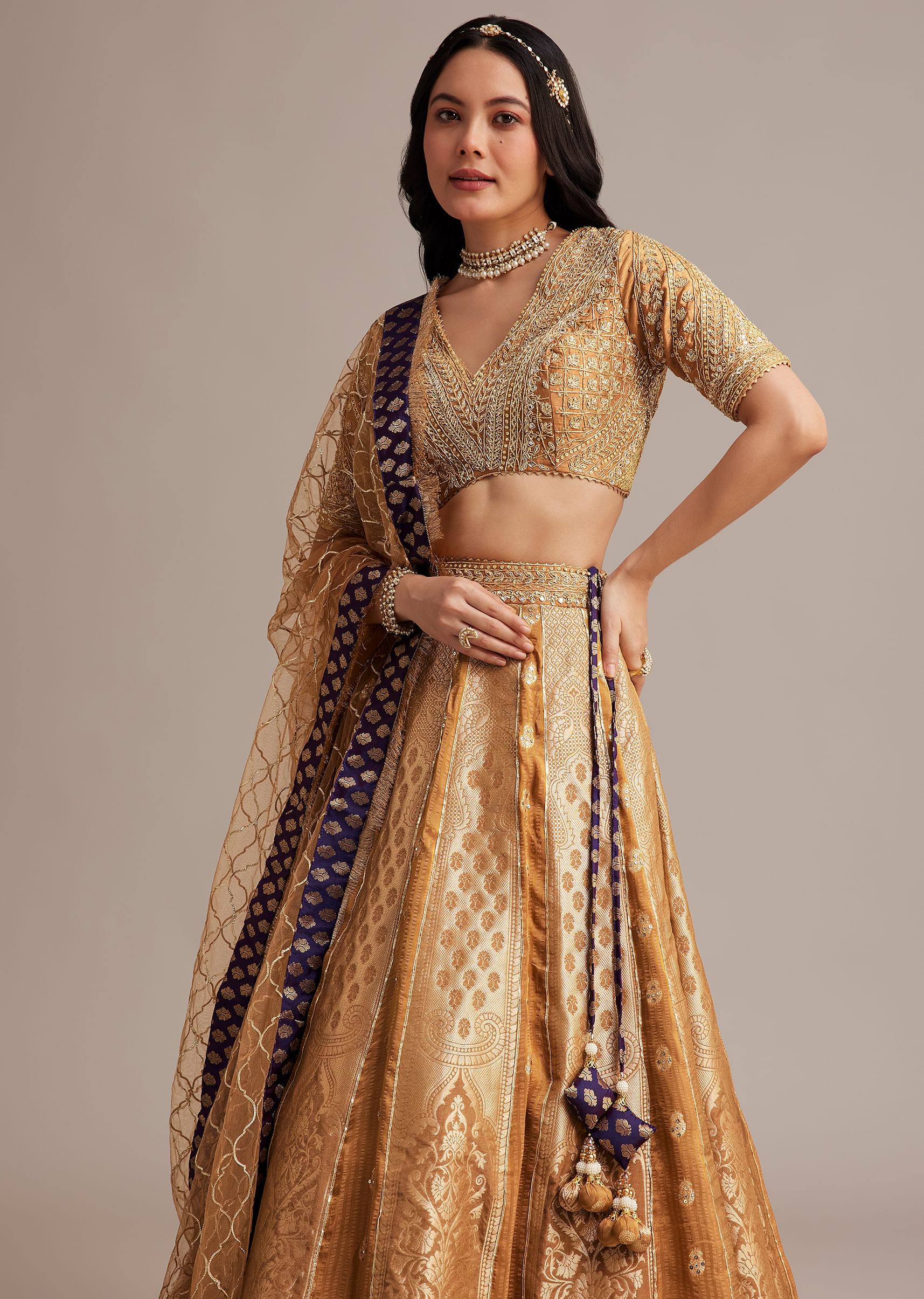 light_brown_banarasi_silk_lehenga_set_with_zardosi_work-sg300624_5_c5f983ed-5847-469a-b0de-92b6c68c11ea.jpg