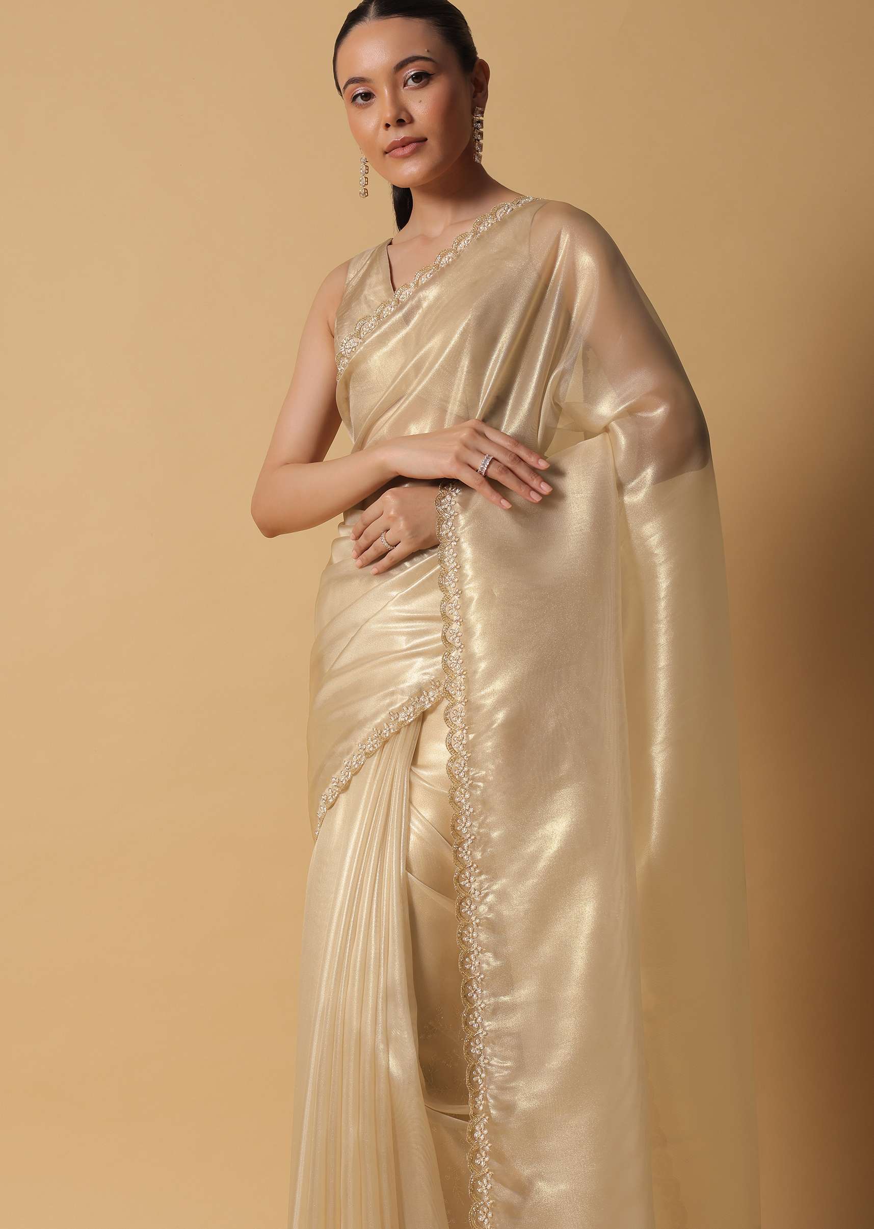 light_gold_toned_foil_saree_in_tissue-sg157503_13_5e80a360-d993-4469-bb7a-37025a563acb.jpg