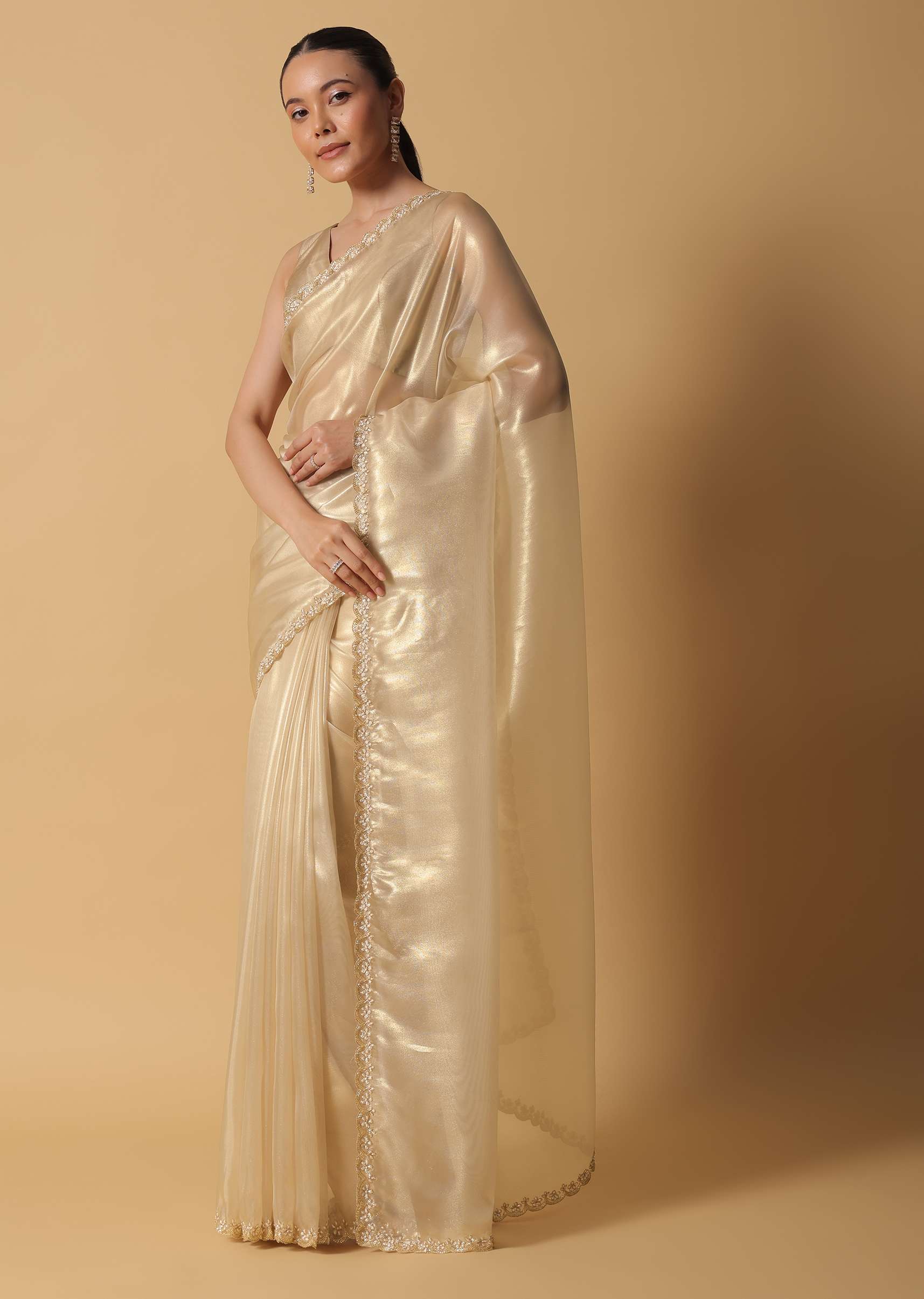 light_gold_toned_foil_saree_in_tissue-sg157503_14_e0611b57-3674-4e36-b4b8-be9222f6f155.jpg