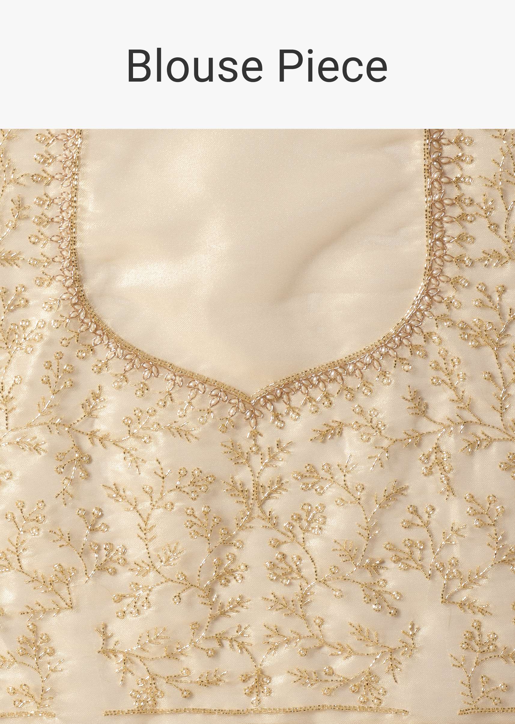 light_gold_toned_foil_saree_in_tissue-sg157503_8_4f714402-f4a2-47a2-8374-aa4fd82daddd.jpg