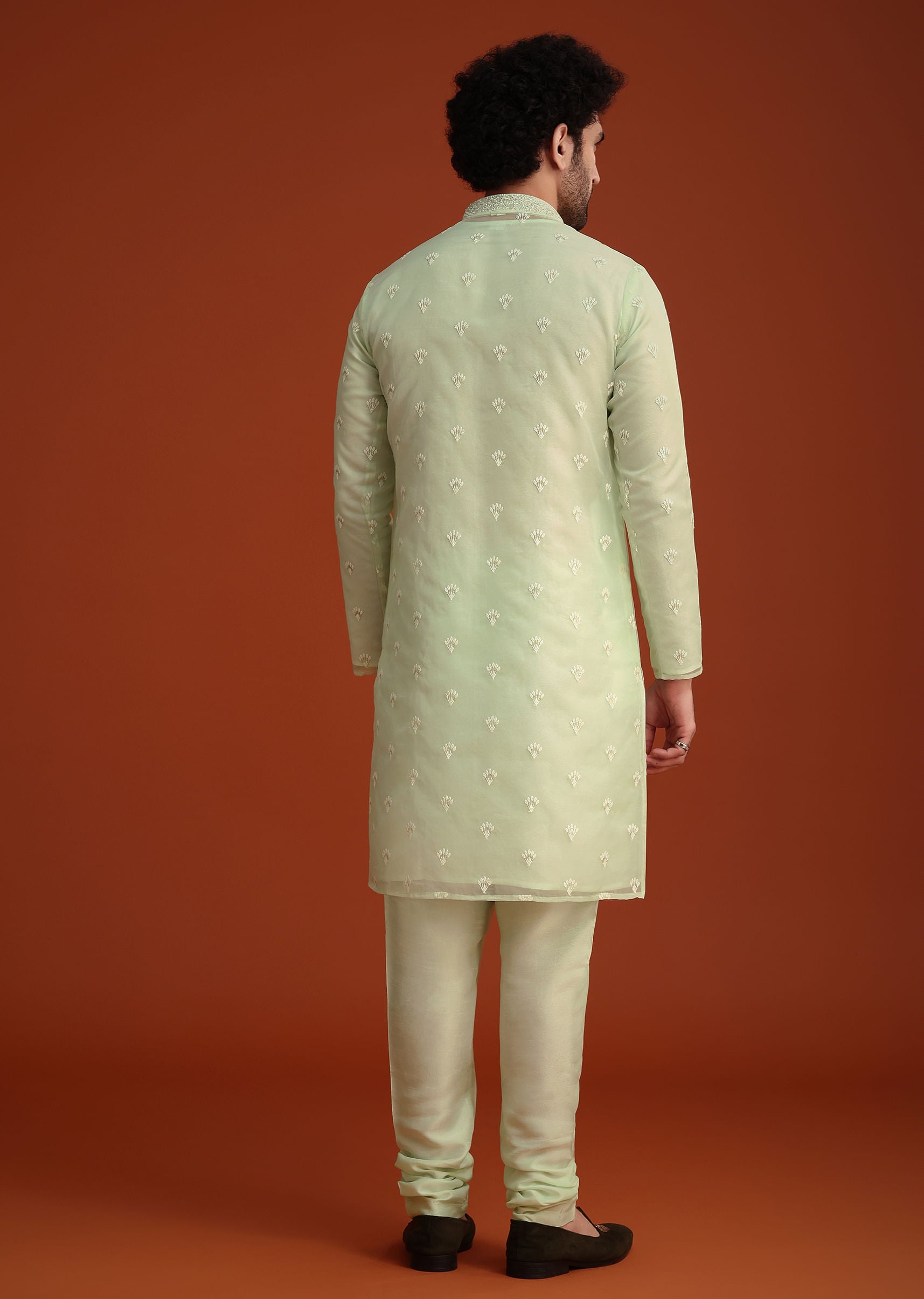light_green_organza_aligarhi_kurta_with_zari_embroidery-sg250796_2_a37d410a-4045-47fa-aba1-7ce22d4dfb92.jpg