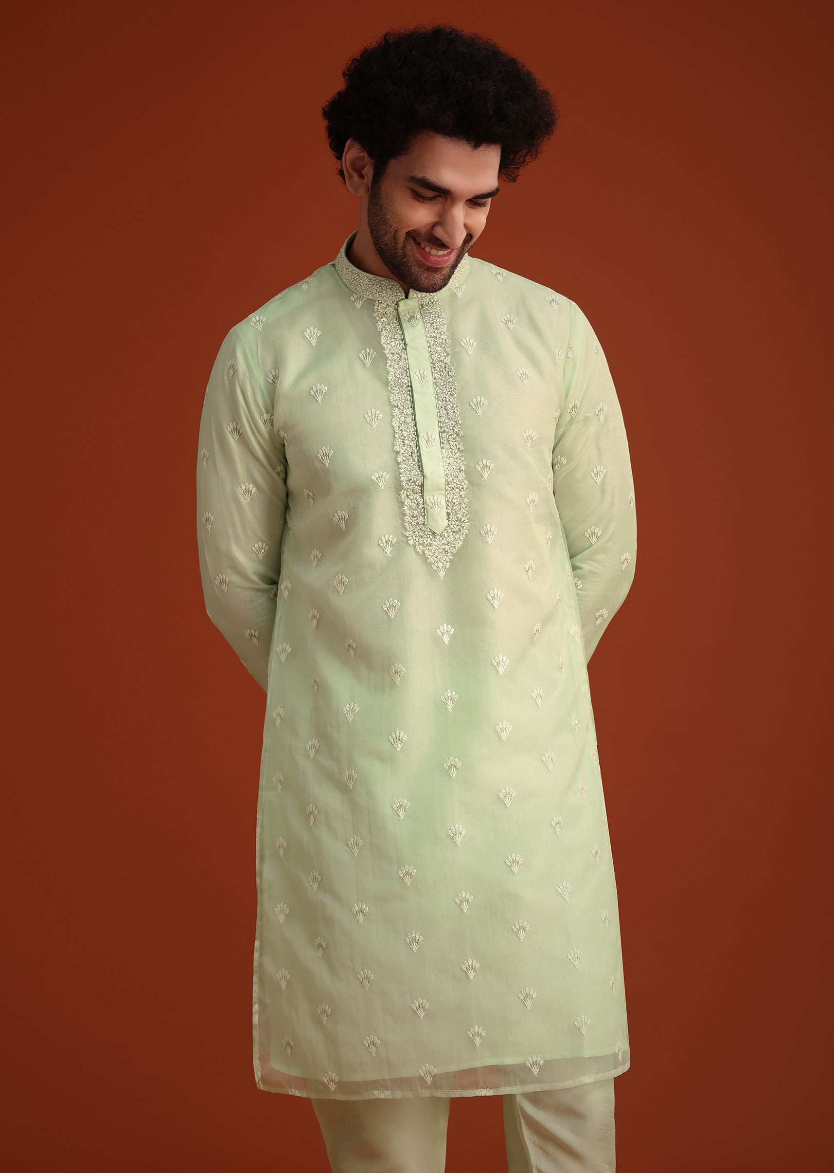 light_green_organza_aligarhi_kurta_with_zari_embroidery-sg250796_4_cdec1fe2-3e9e-45cc-a68e-d54bef5a0694.jpg