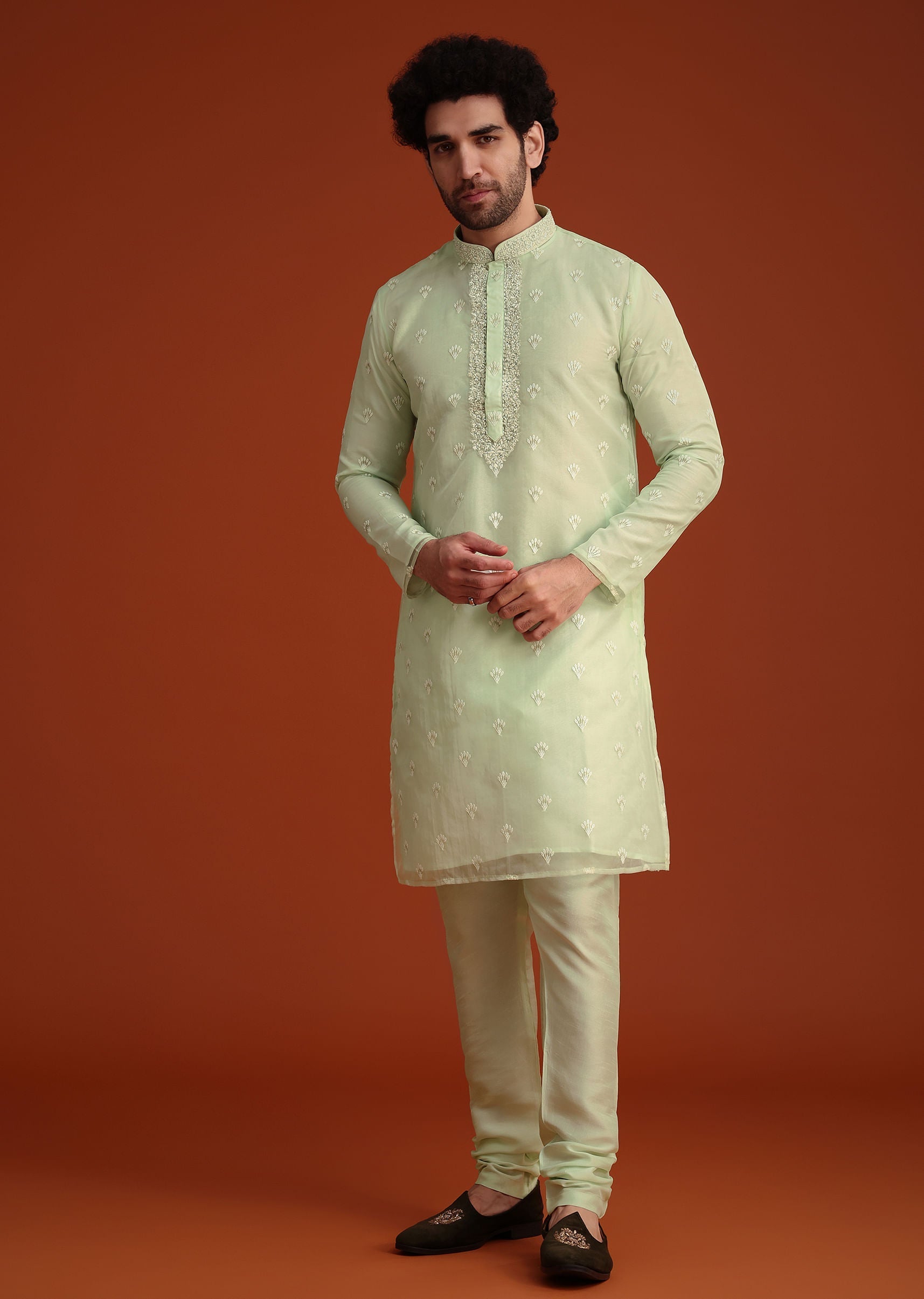 light_green_organza_aligarhi_kurta_with_zari_embroidery-sg250796_5_5a1b0b24-cd9e-4158-afd1-76a8617c8fd3.jpg