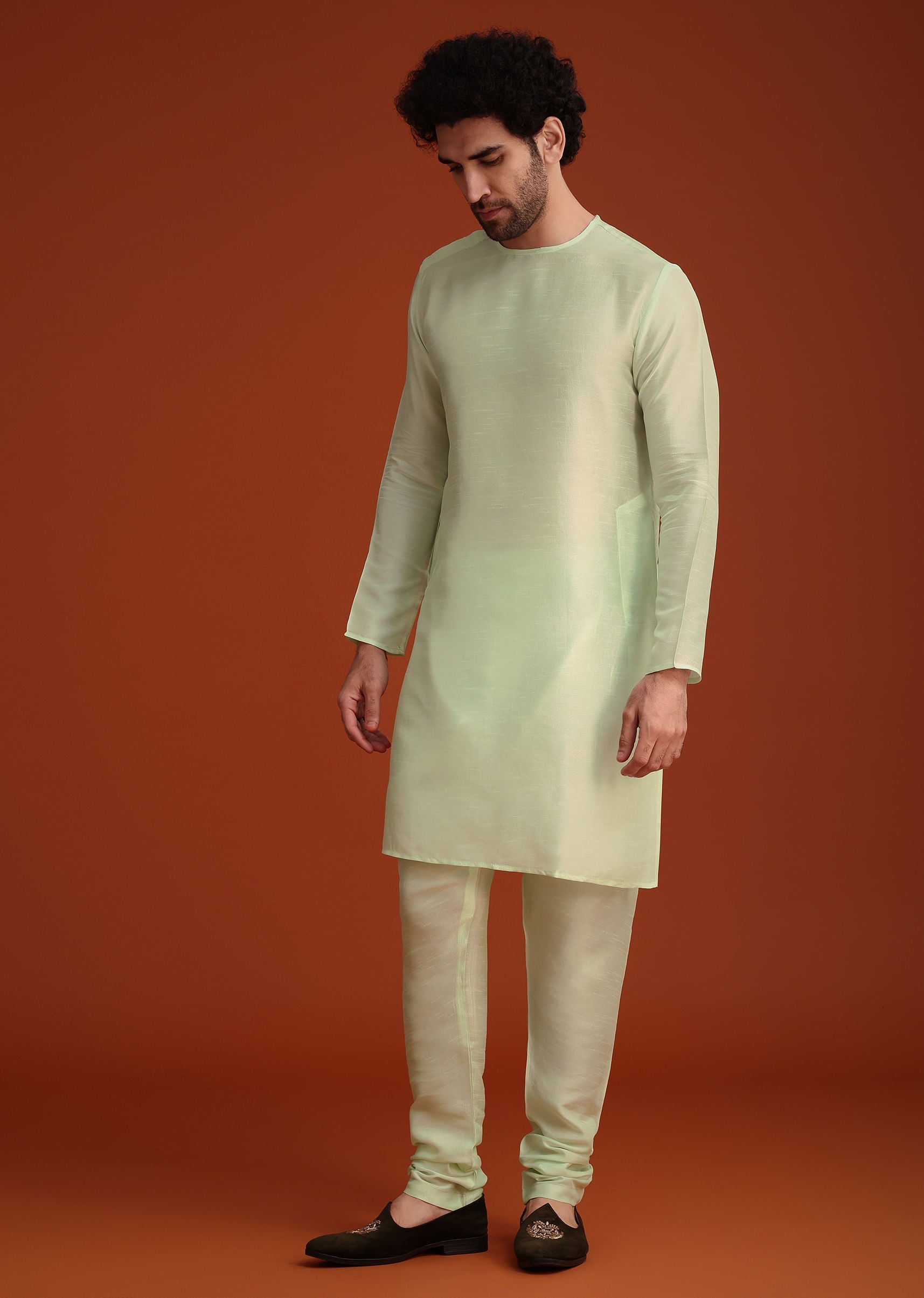 light_green_organza_aligarhi_kurta_with_zari_embroidery-sg250796_8_b71ec6dc-13bf-48f4-8f8d-650d5ad833f0.jpg