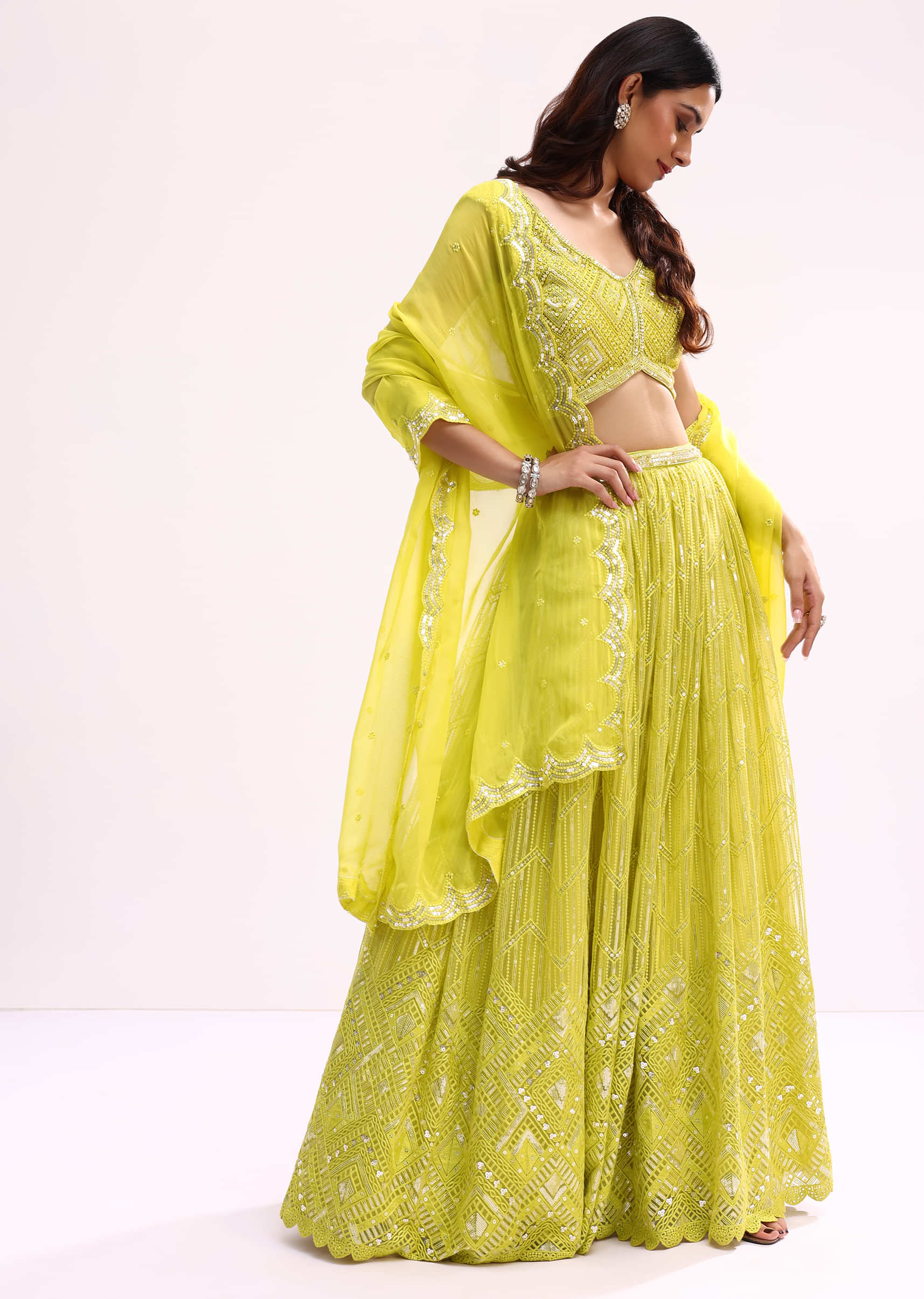 lime_green_embroidered_net_lehenga_choli_set-sg241832_6_a7e3c2ac-592a-4aea-8cbe-04da79ab1266.jpg