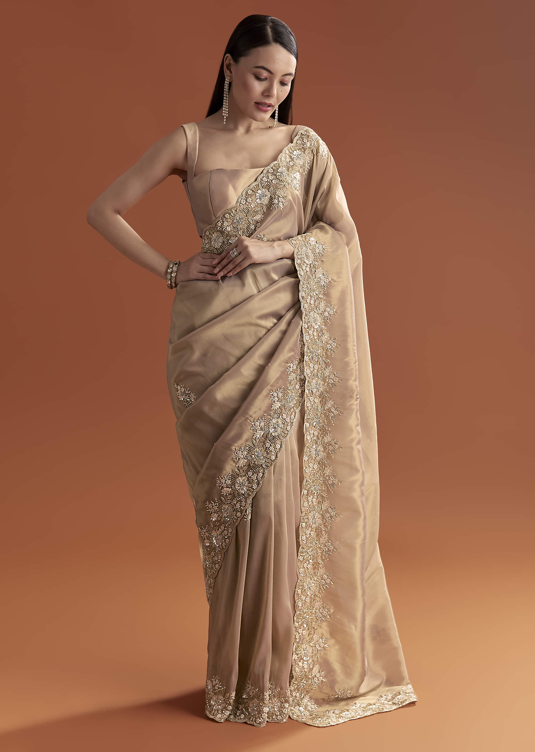 mauve_tissue_saree_with_scallop_border_and_stone-sg317943-9_7.jpg