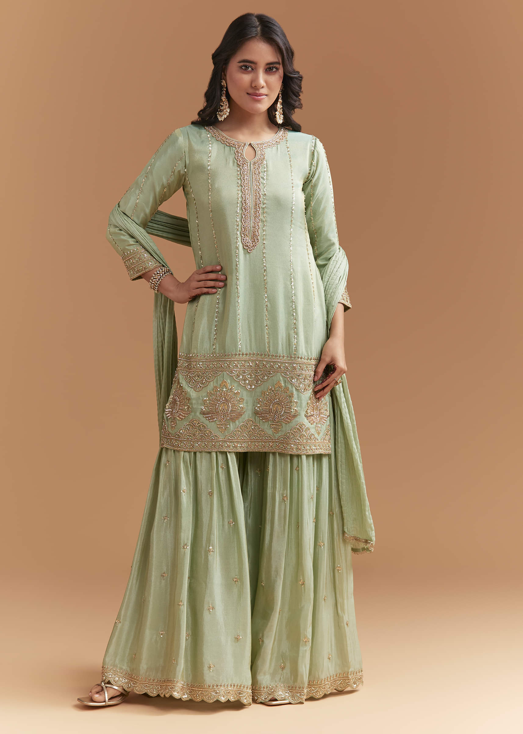 mint_green_tissue_sharara_suit_with_beads_and_sequins-sg341402-6_3.jpg