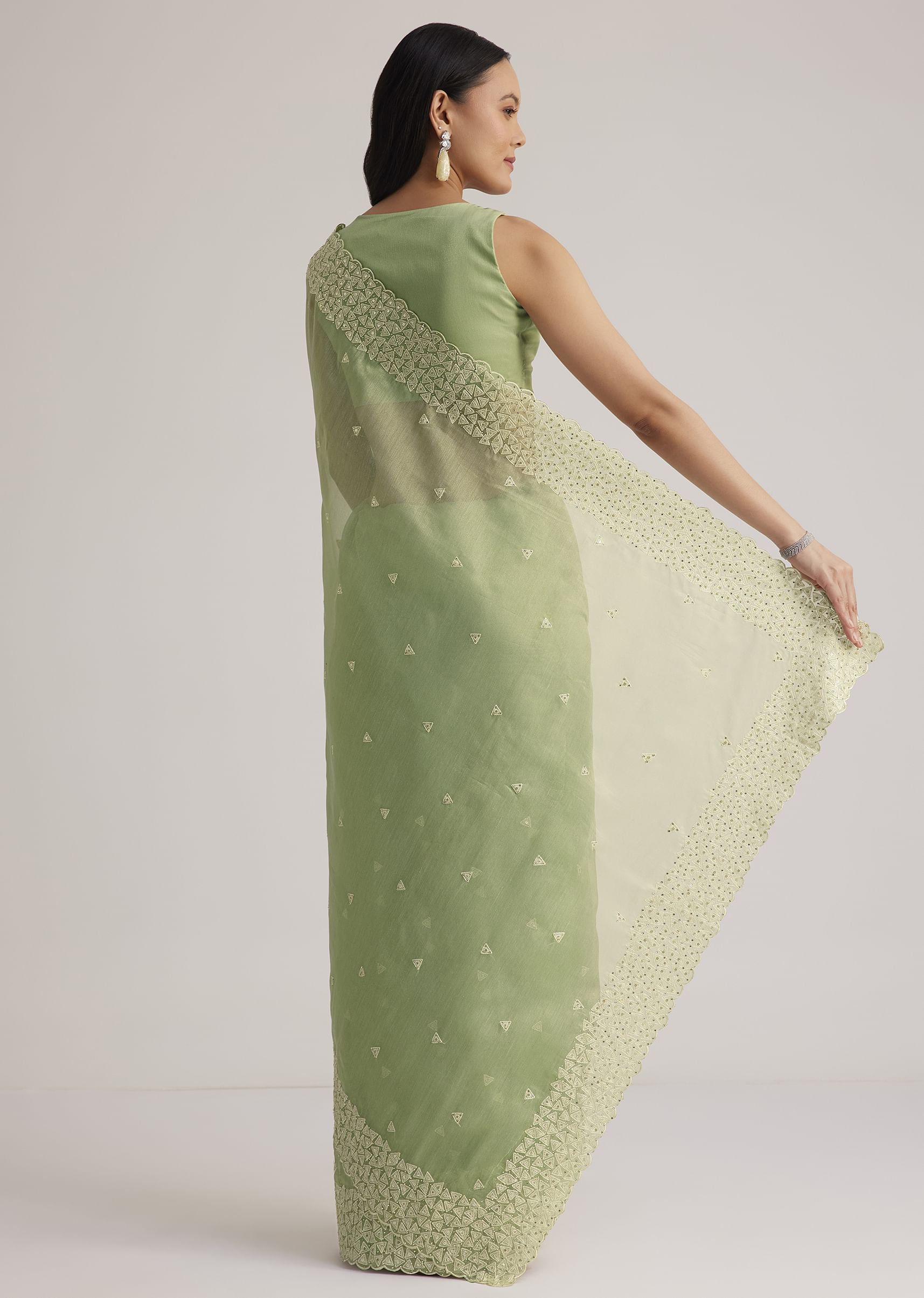 mint_green_tissue_silk_sequins_saree_with_scallop_border-sg281766_13_a8b2ce42-7eb5-494d-a485-8a89ec6060f0.jpg