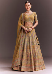 mustard_yellow_embroidered_lehenga_set-sg235844_7_9cd80775-ca3e-46c1-8d8b-0b807da53033.jpg
