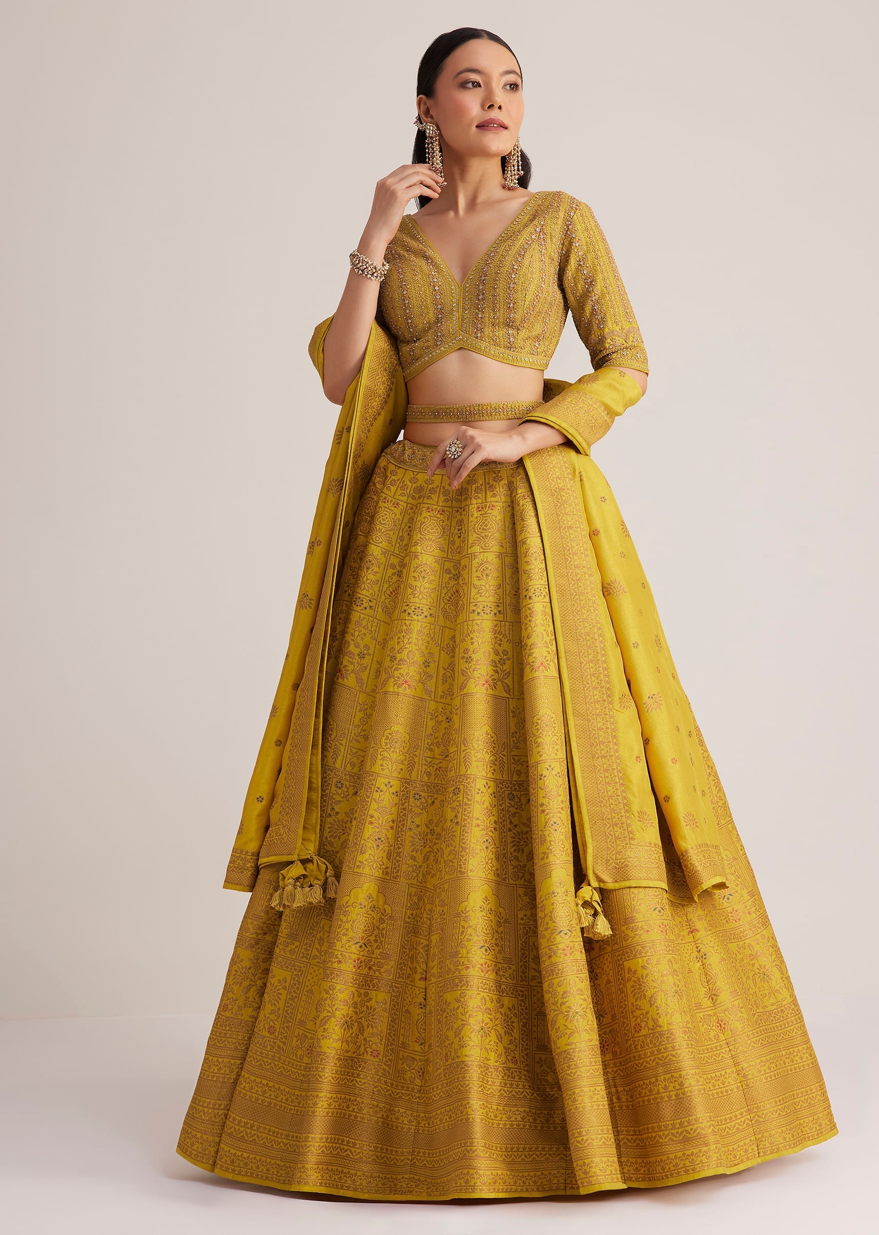 mustard_yellow_embroidered_lehenga_set_with_matching_dupatta-sg291513_6_cfb9ea95-83fc-4540-aecc-98d1d303878f.jpg
