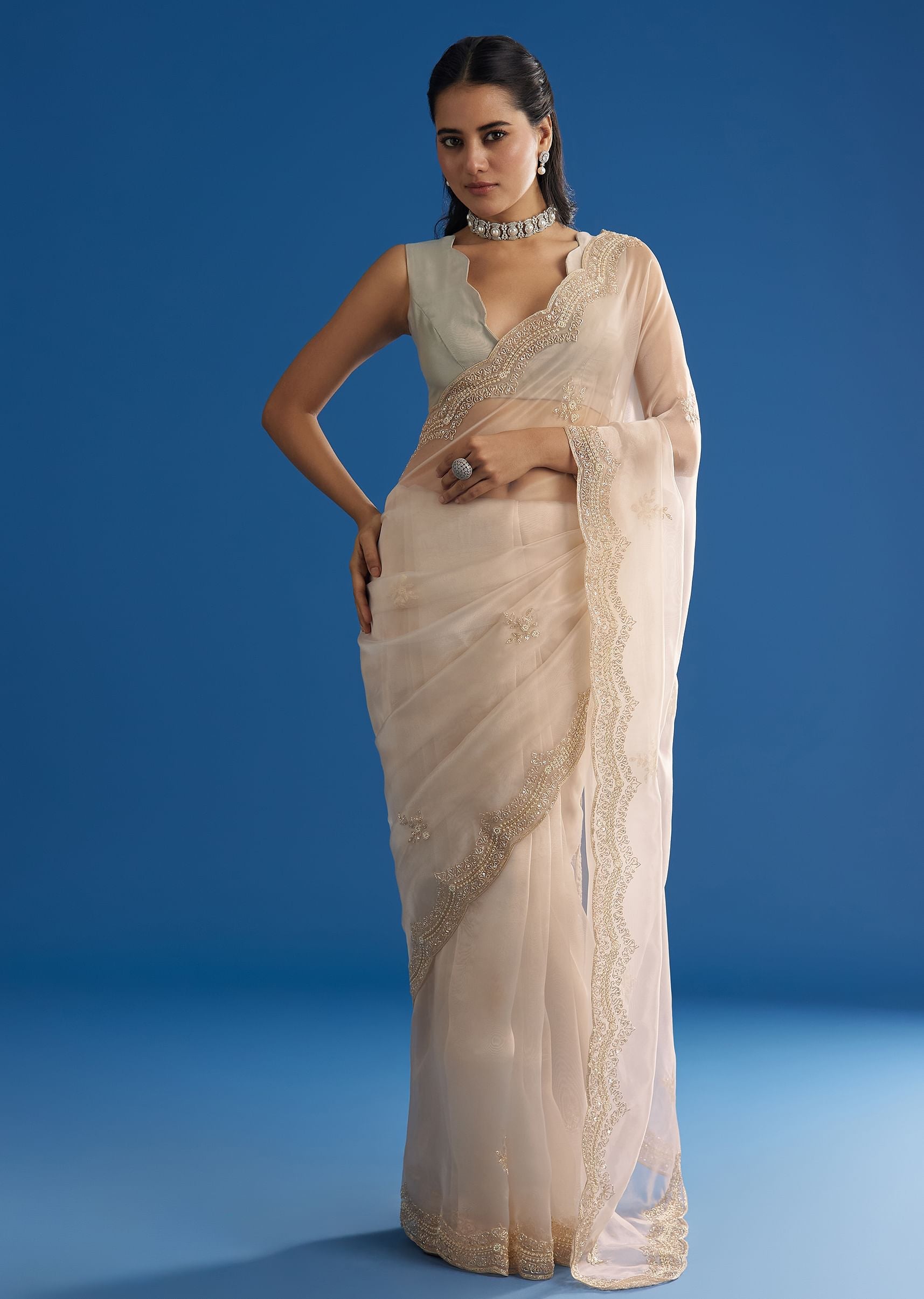 off-white-glass-tissue-saree-with-embroidered-scallop-border-sg293144-5_a12412fa-a0c3-43ee-86d4-664e33f714c0.jpg