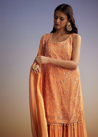 orange-georgette-sharara-suit-with-embroidered-kurta-and-dupatta-sg327749-1_34277be4-42ca-4a33-b874-3b438ffa9c65.jpg