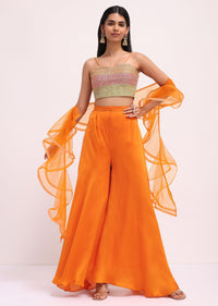 orange_silk_zari_crop_top_and_palazzo_with_dupatta-sg244350_1_4441ae24-f66a-432a-a868-67636bc9e16e.jpg
