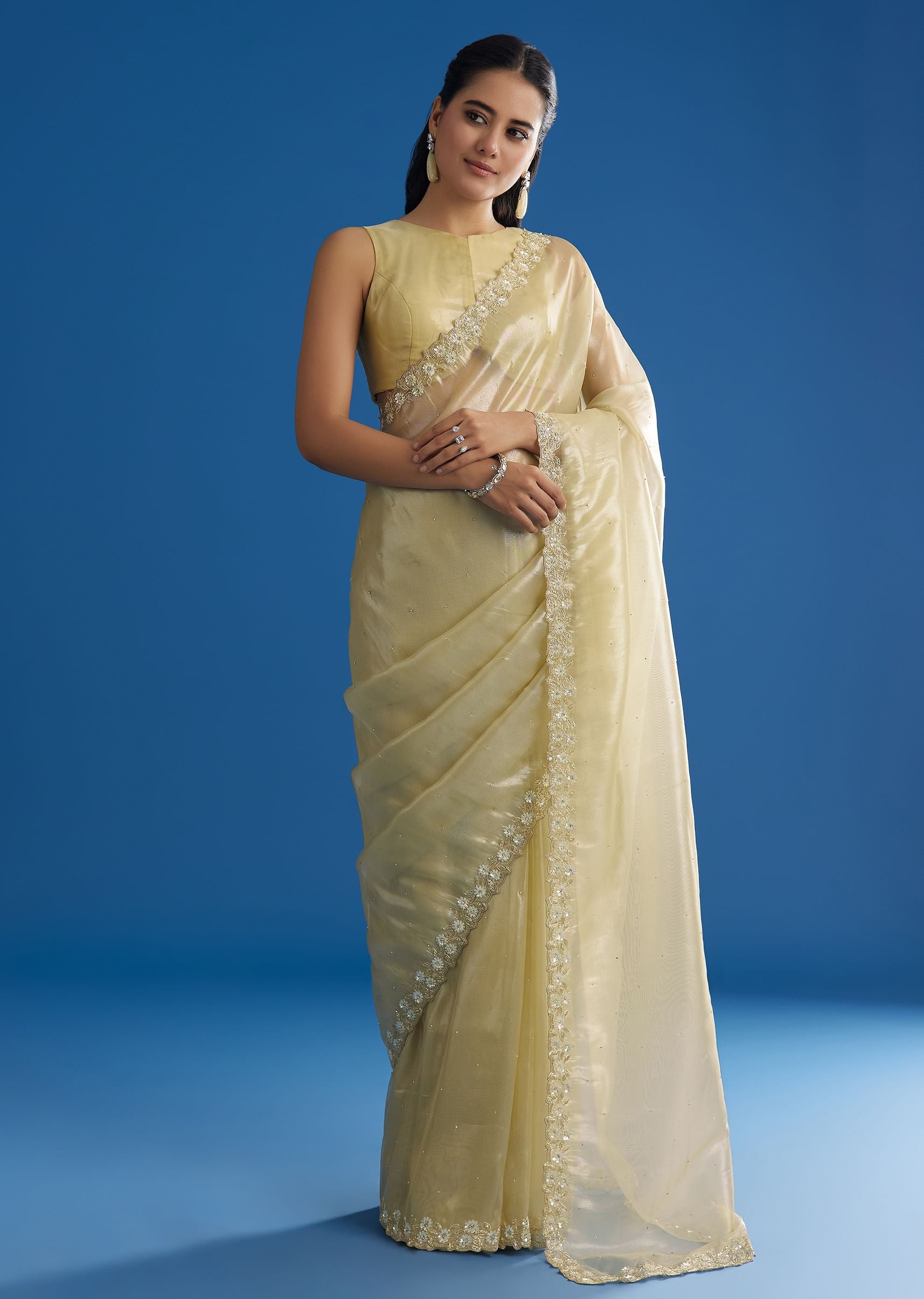 pastel-green-glass-tissue-saree-with-floral-embroidery-and-cutwork-border-sg296150-2_c3db345a-fb06-45e5-9fe2-021f35ae1e47.jpg