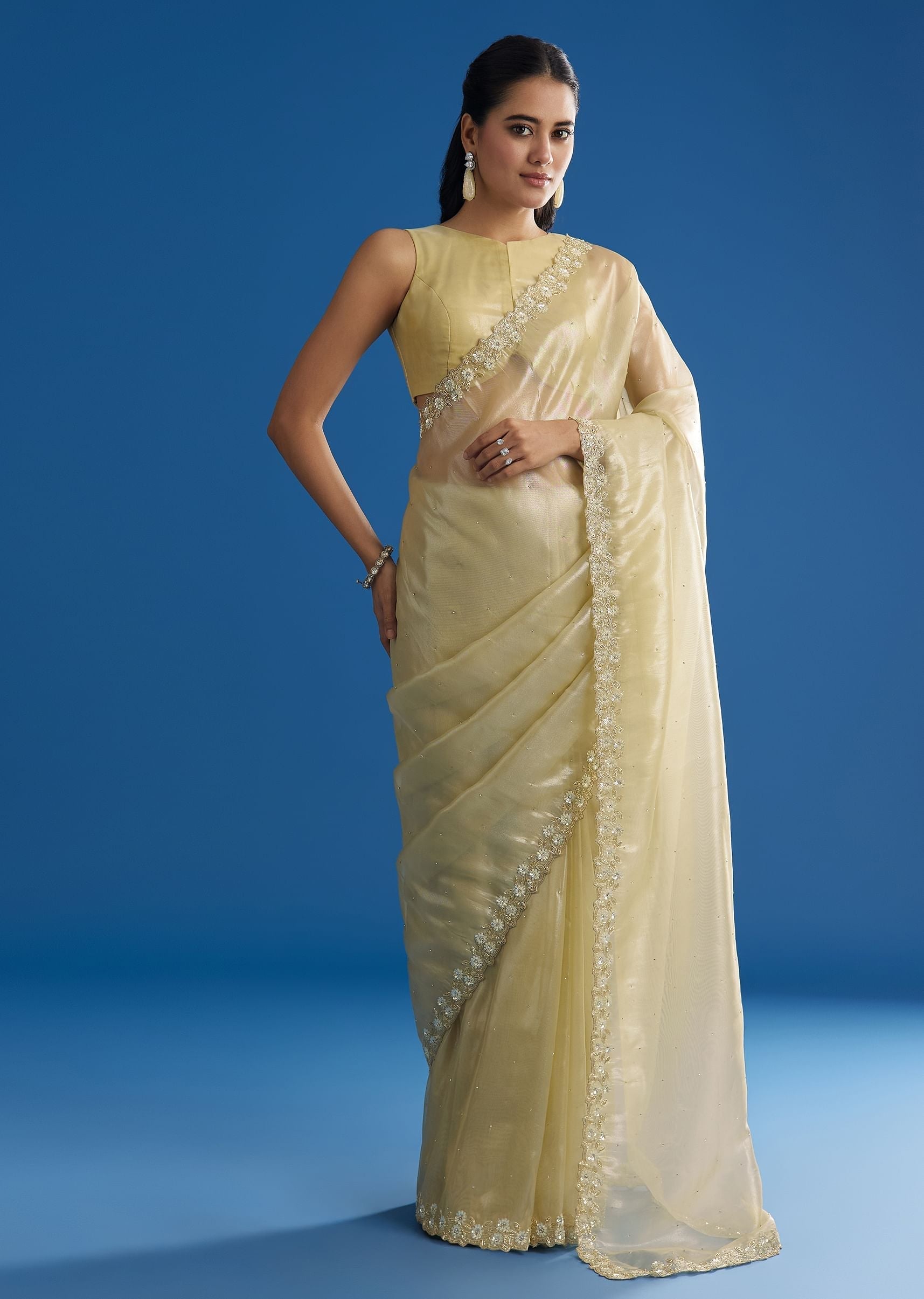 pastel-green-glass-tissue-saree-with-floral-embroidery-and-cutwork-border-sg296150-5_41eae562-fc01-4cc3-b43c-d205f4ba7bef.jpg