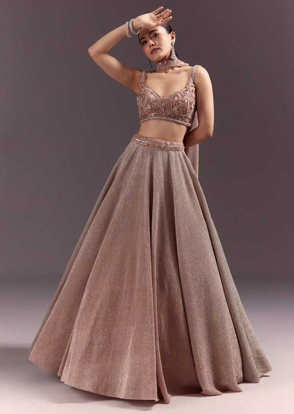 Peach Gold Embroidered Circular Lehenga Dupatta Set