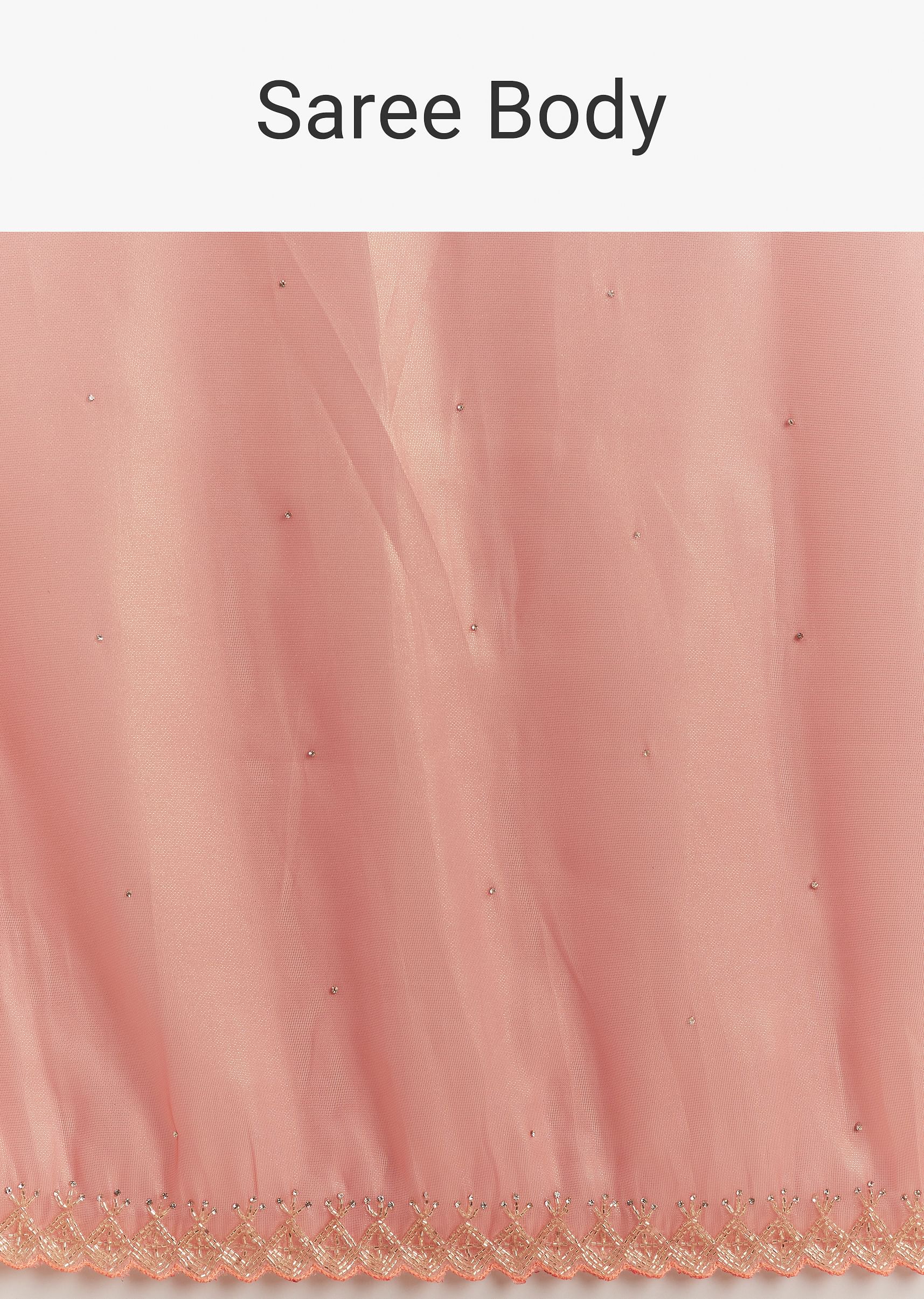 peach-tissue-saree-with-stones-cutdana-embellishments-and-scallop-border-sg294557-10_baf244aa-da93-4eae-a49f-6efbfac6038b.jpg