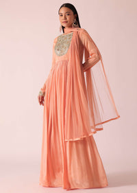 peach_chiffon_embroidere_11_cc14dca3-b978-4cd8-921d-054f43c8c954.jpg
