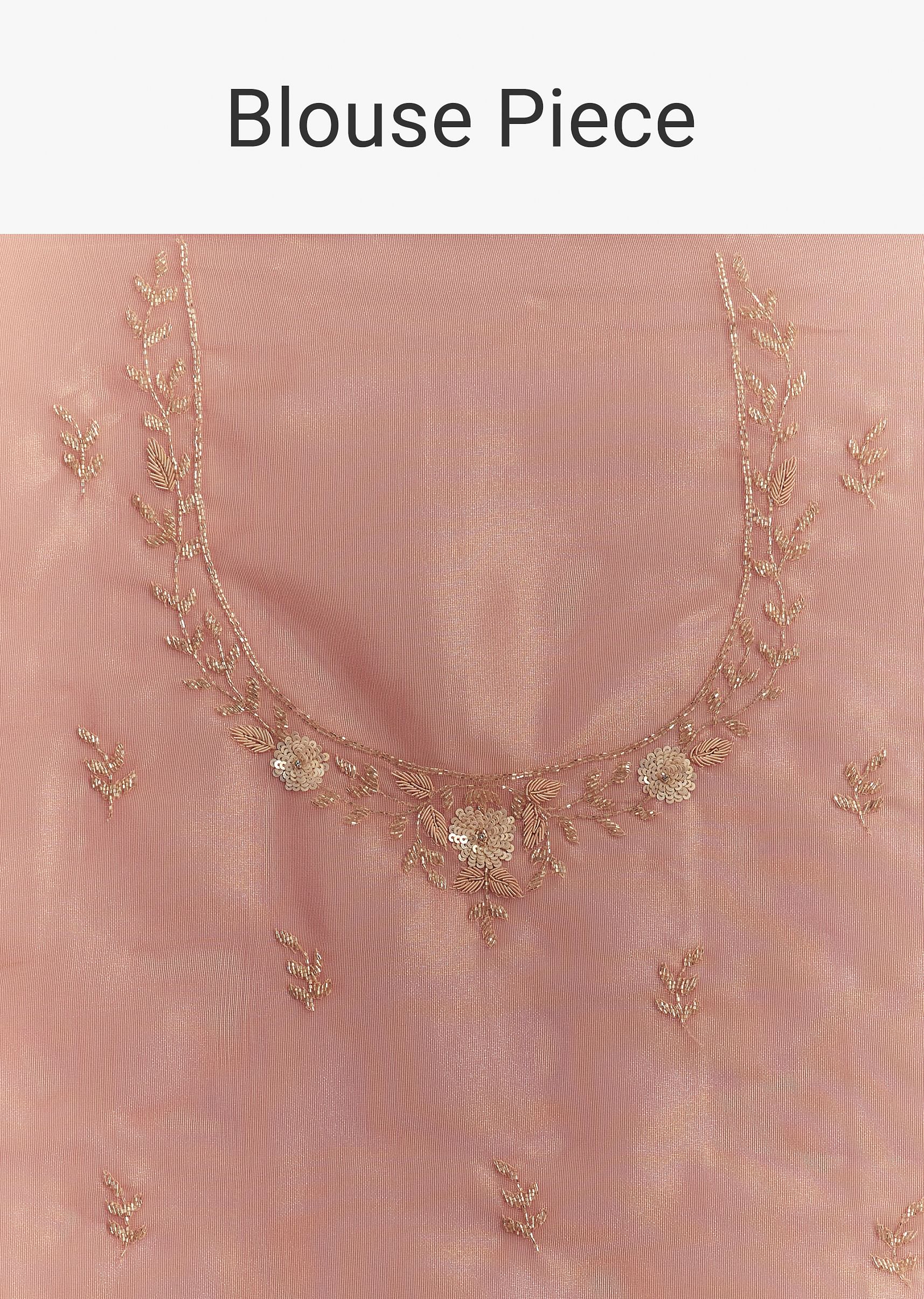 pink-glass-tissue-sareee-with-embroidered-scallop-border-sg299422-10_33facf53-89e8-49e0-9f72-4aebc4a62d1f.jpg
