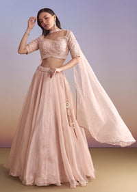 pink-organza-bridesmaid-lehenga-with-sequins-and-cutdana-embroidery-sg320914-1.jpg