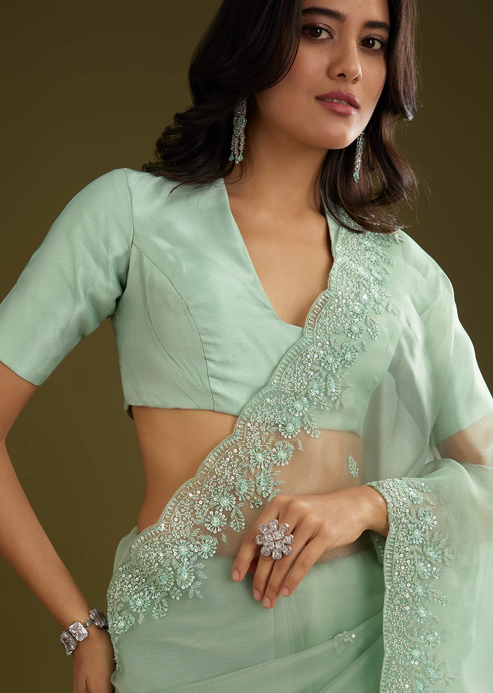 pista-green-tissue-saree-with-embroidered-scallop-border-sg293903-5_e0092fc7-0b4a-46da-a9ca-b054d8c06f23.jpg
