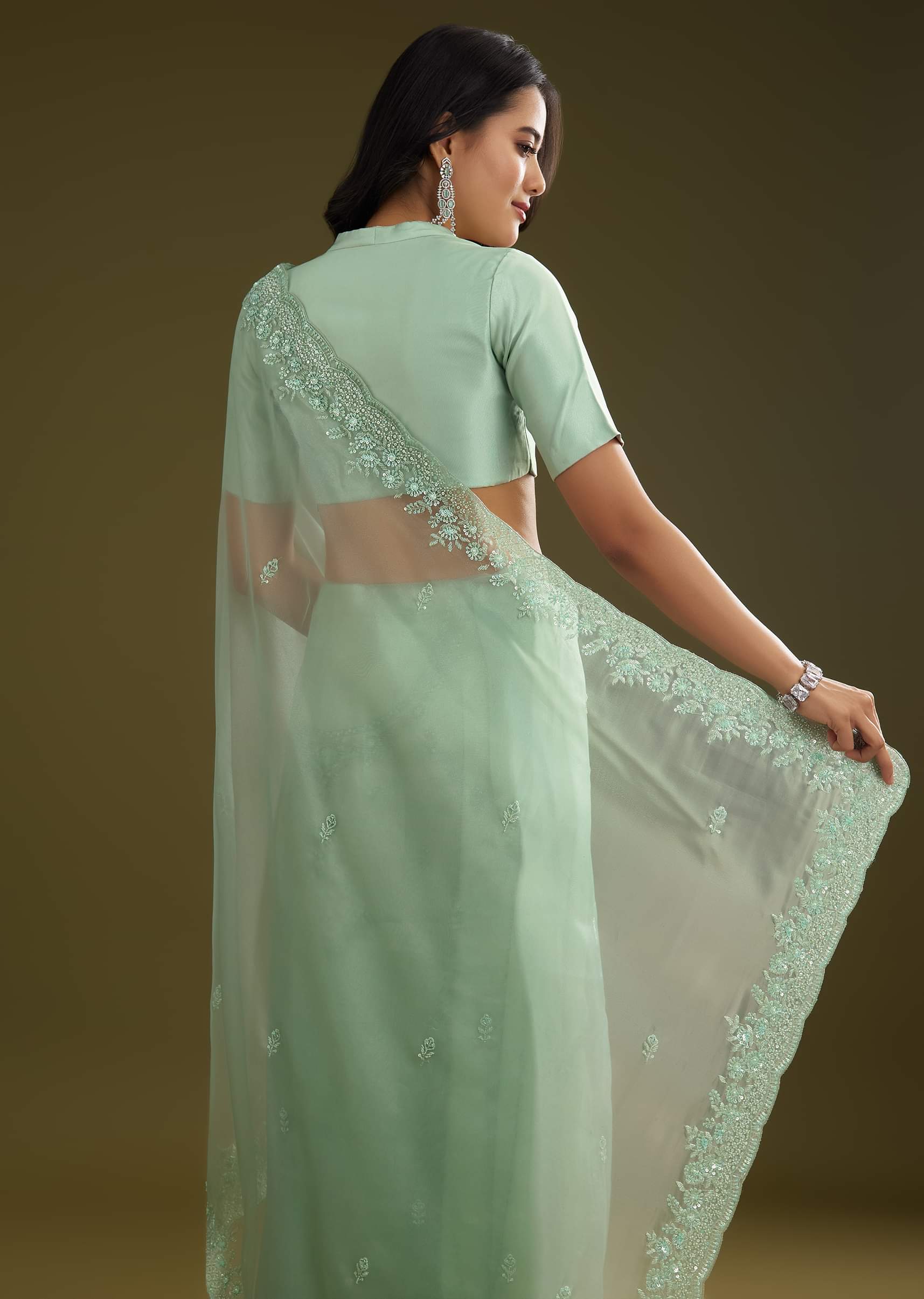 pista-green-tissue-saree-with-embroidered-scallop-border-sg293903-6_24afaedf-5b76-4178-94c4-738e76141974.jpg