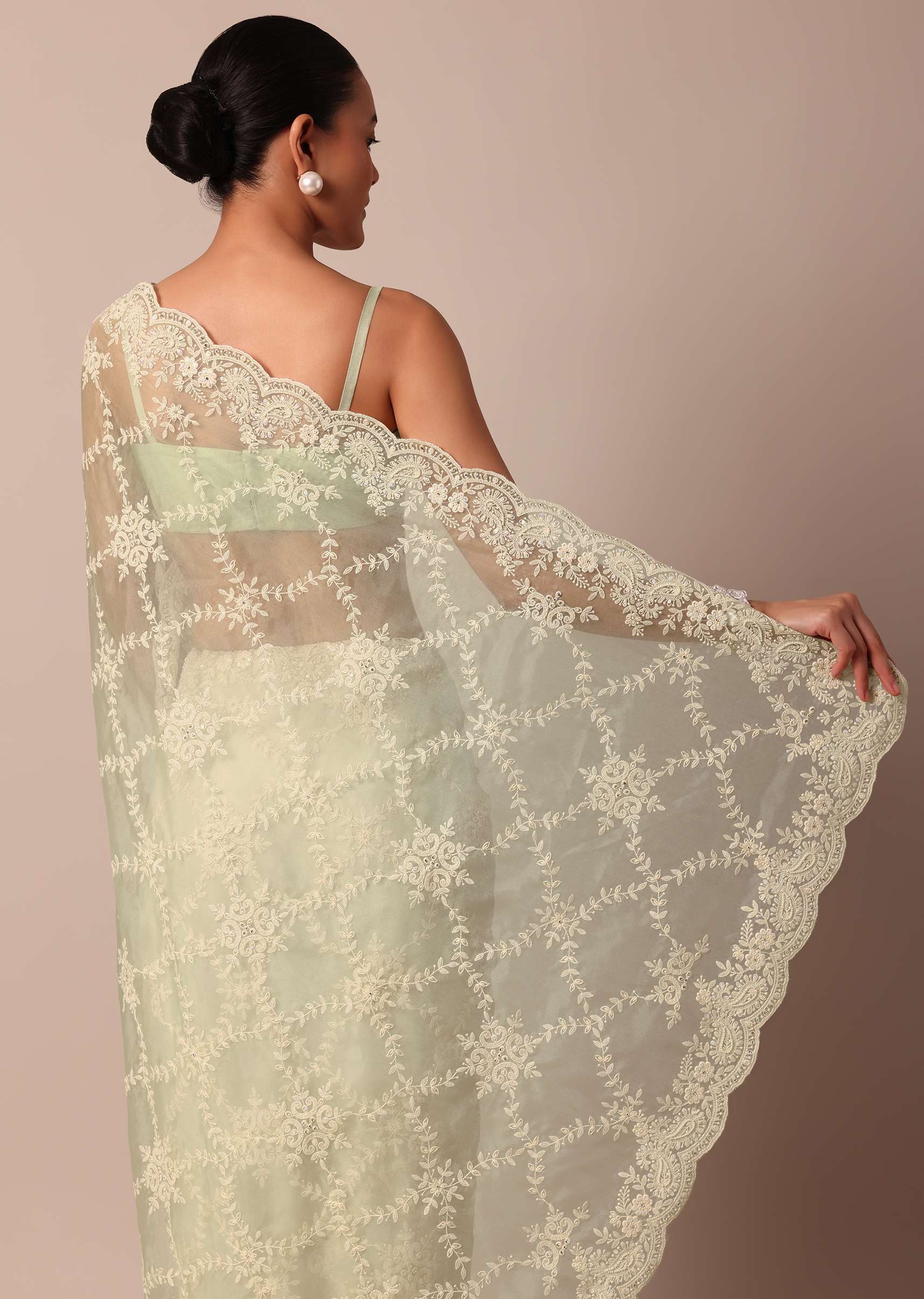 pista_green_organza_silk_chikankari_saree_with_floral_thread-sg214114_4_95127872-0741-4a8d-9fdc-9a7fa67543db.jpg