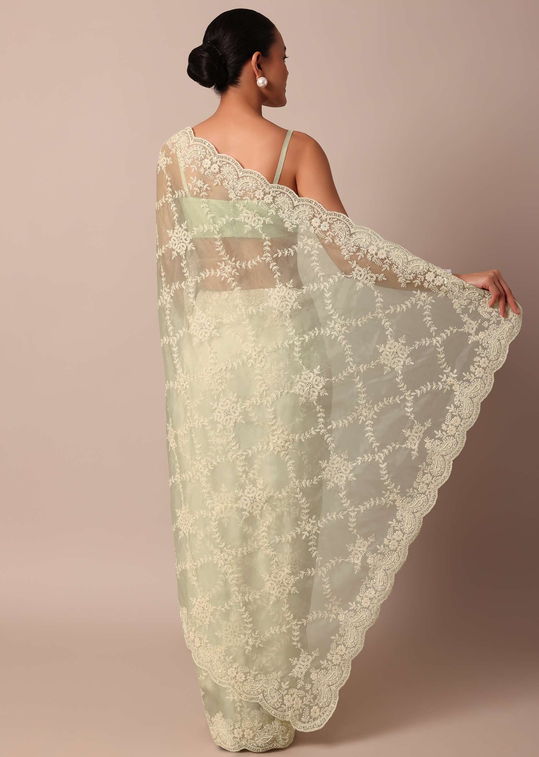 pista_green_organza_silk_chikankari_saree_with_floral_thread-sg214114_5_a4c0dbd1-1e0a-4a0f-8e7b-06437edd0c05.jpg