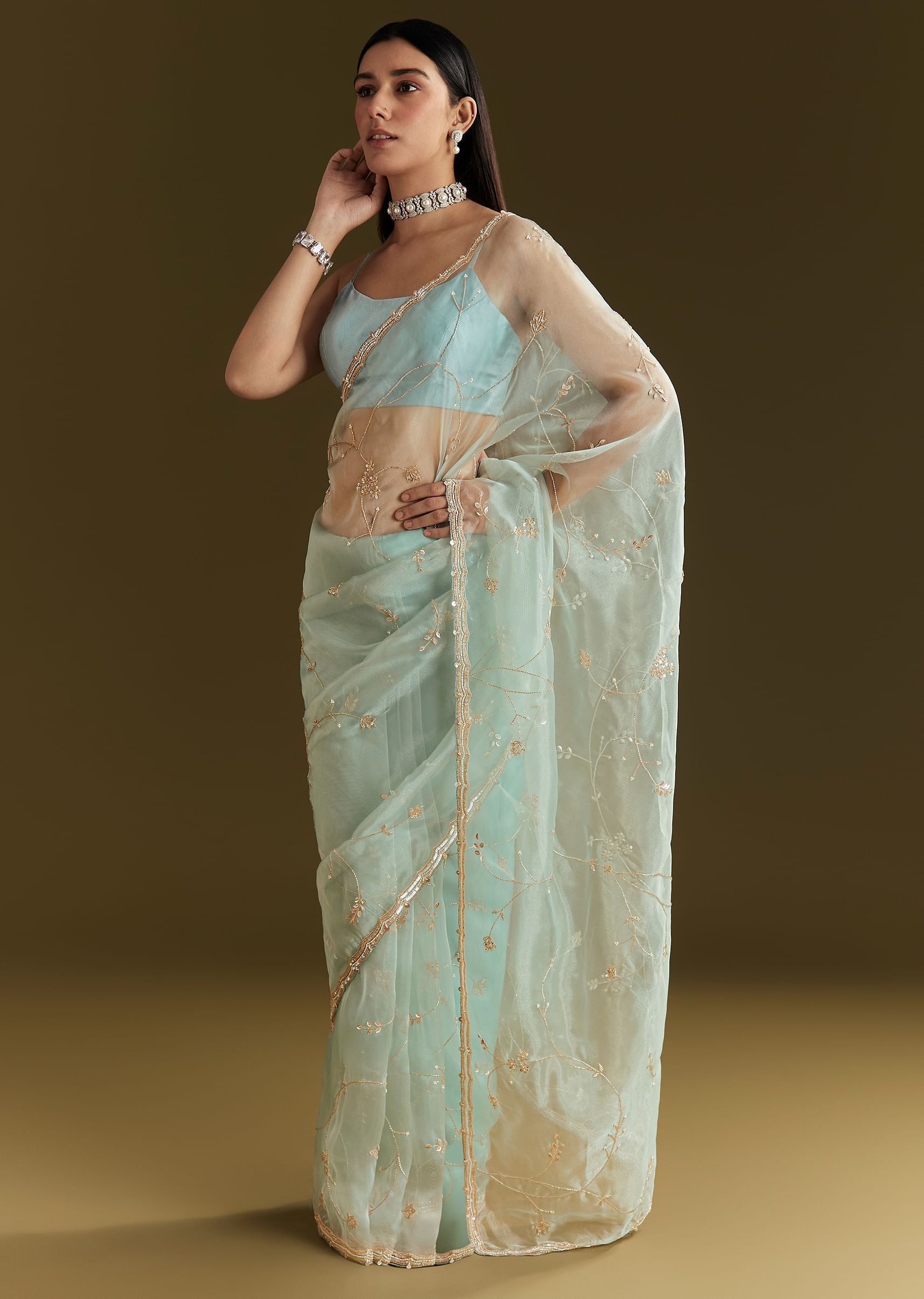 powder-blue-tissue-embroidered-saree-with-scallop-border-sg294610-3_d7ab2bfa-4cd1-451c-8726-7fe4f59a9d5a.jpg