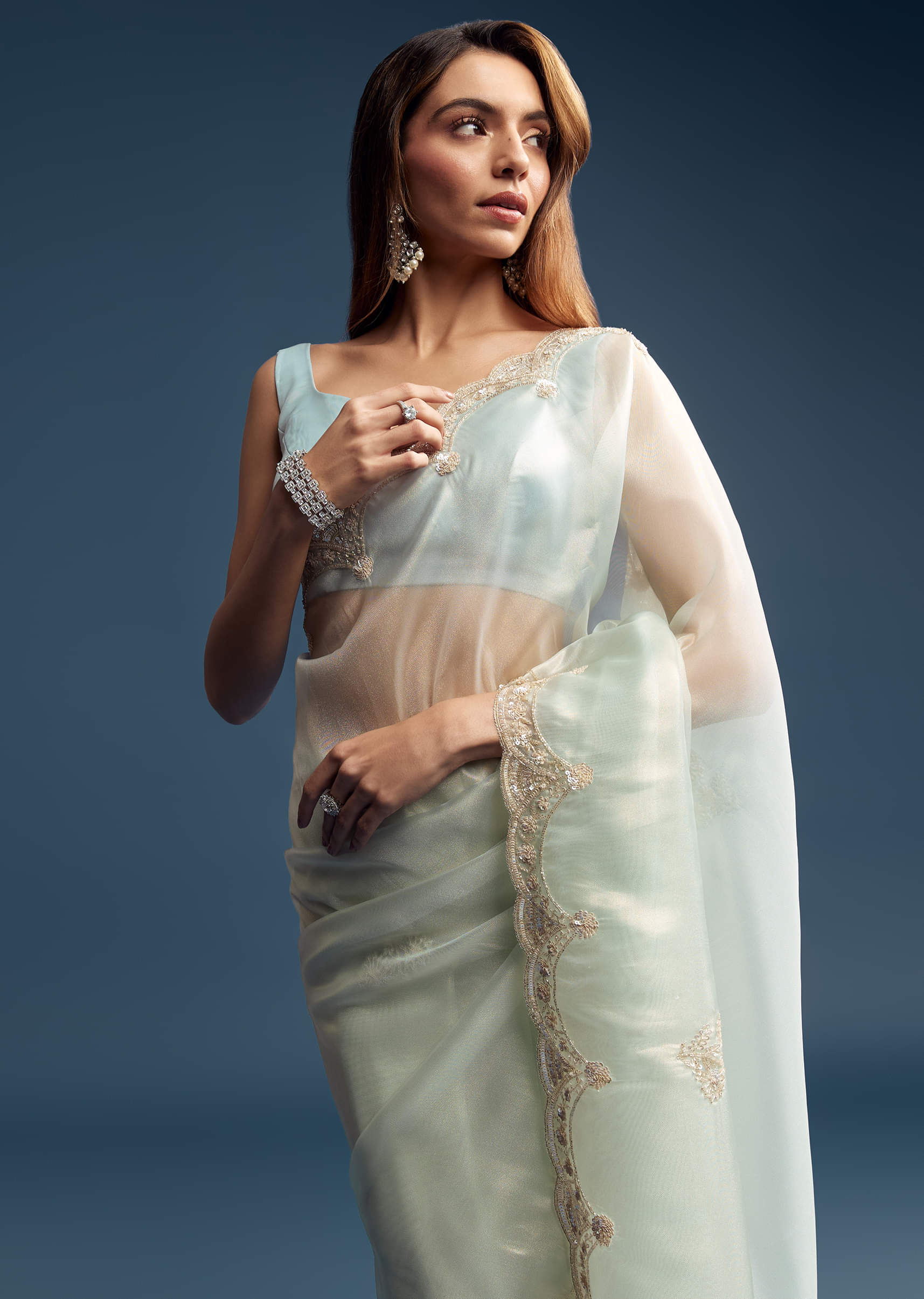 powder-blue-tissue-saree-with-cutdana-embroidery-sg292562-5.jpg