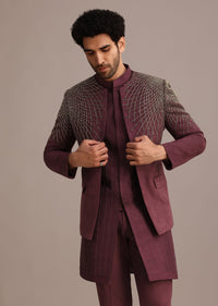 purple_jacquard_indo_western_set_with_zardozi_embroidery-sg250983_9_ae454001-3344-4699-8617-d18a3d3d1f3e.jpg