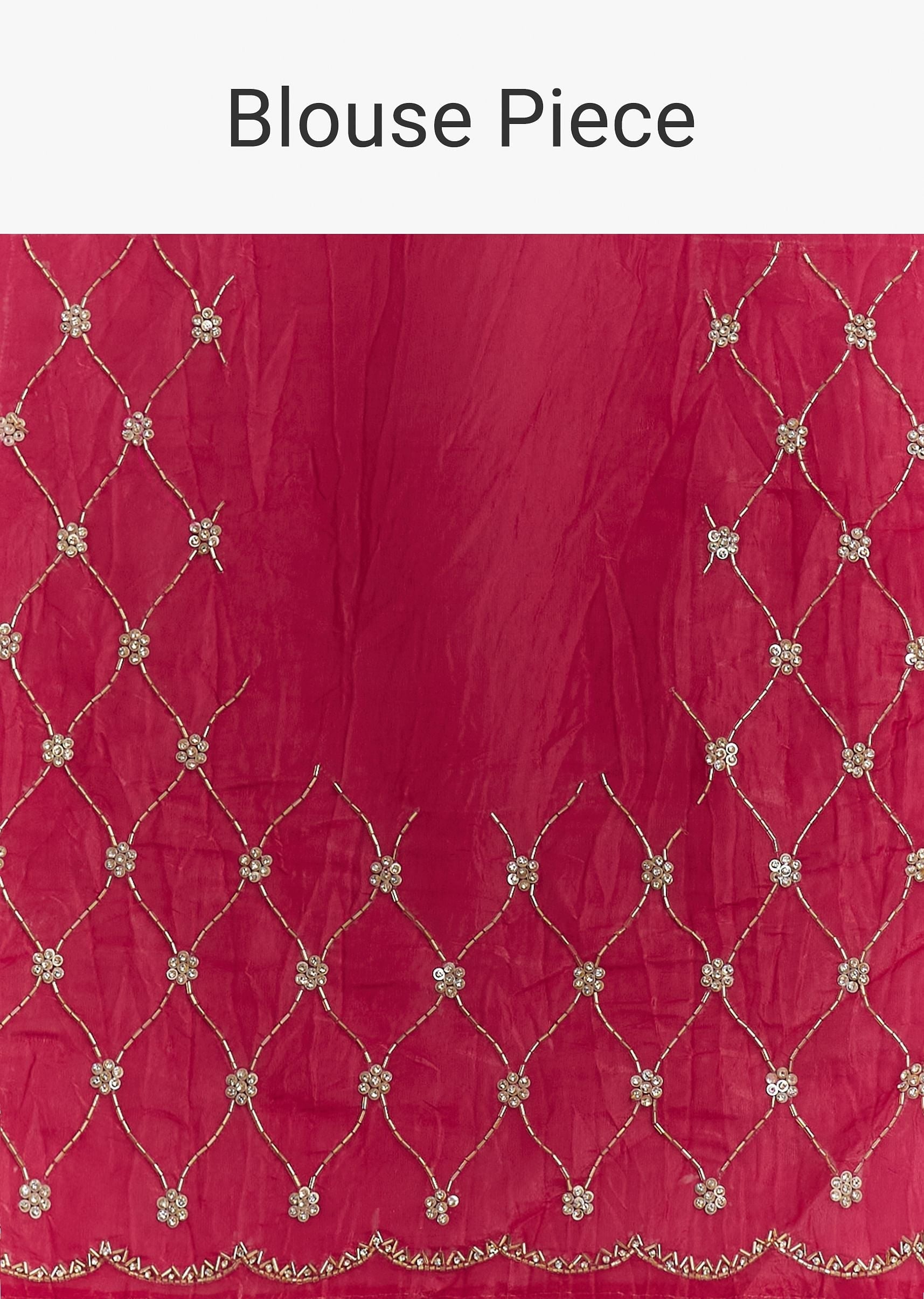 rani-pink-crushed-tissue-saree-with-cutdana-and-sequin-embro-sg296149-10_620c5a4f-b218-483d-b142-8b7d1902dbd5.jpg