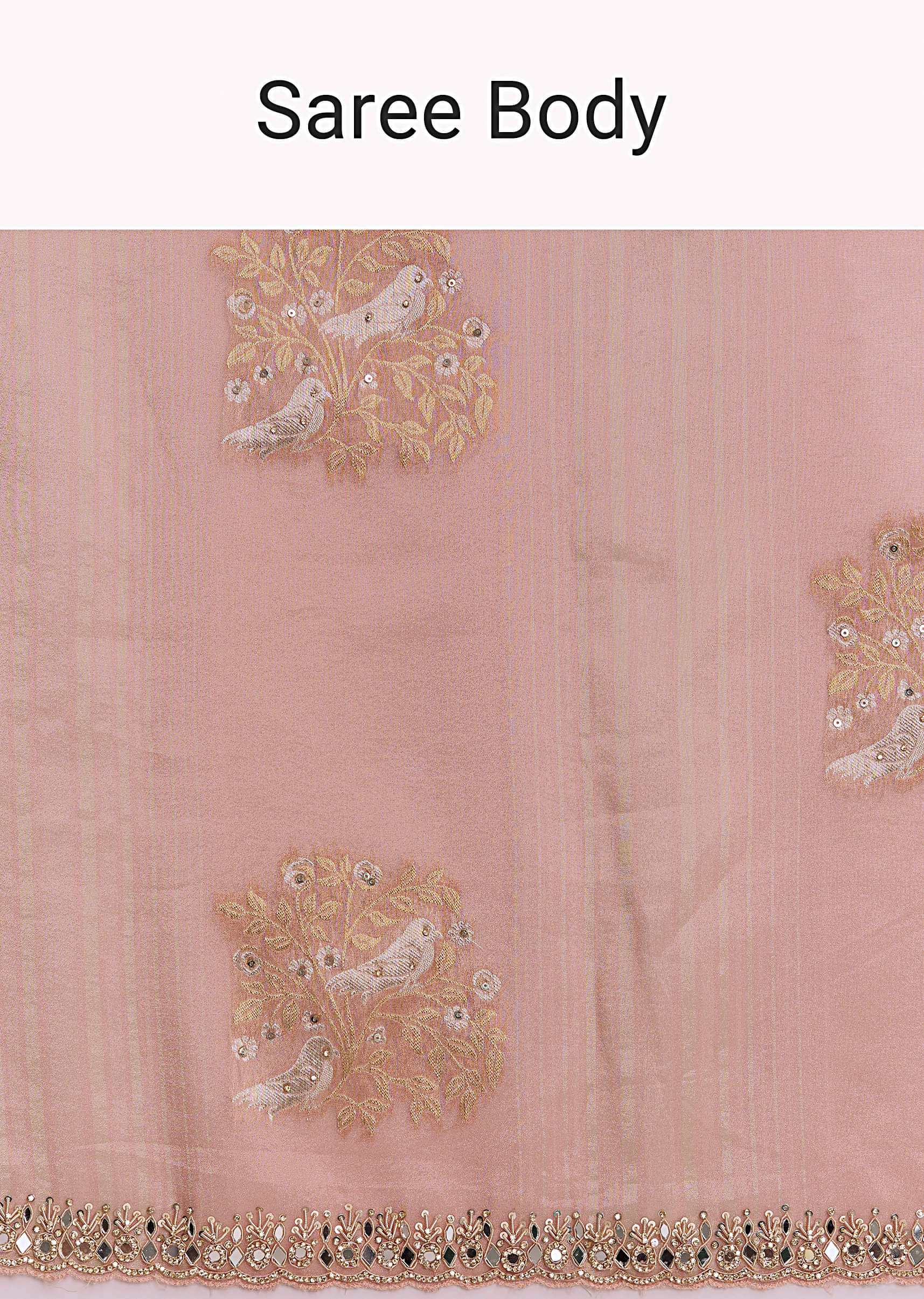 rose_pink_tissue_saree_with_zardosi_and_mirror-sg336729-9_1.jpg
