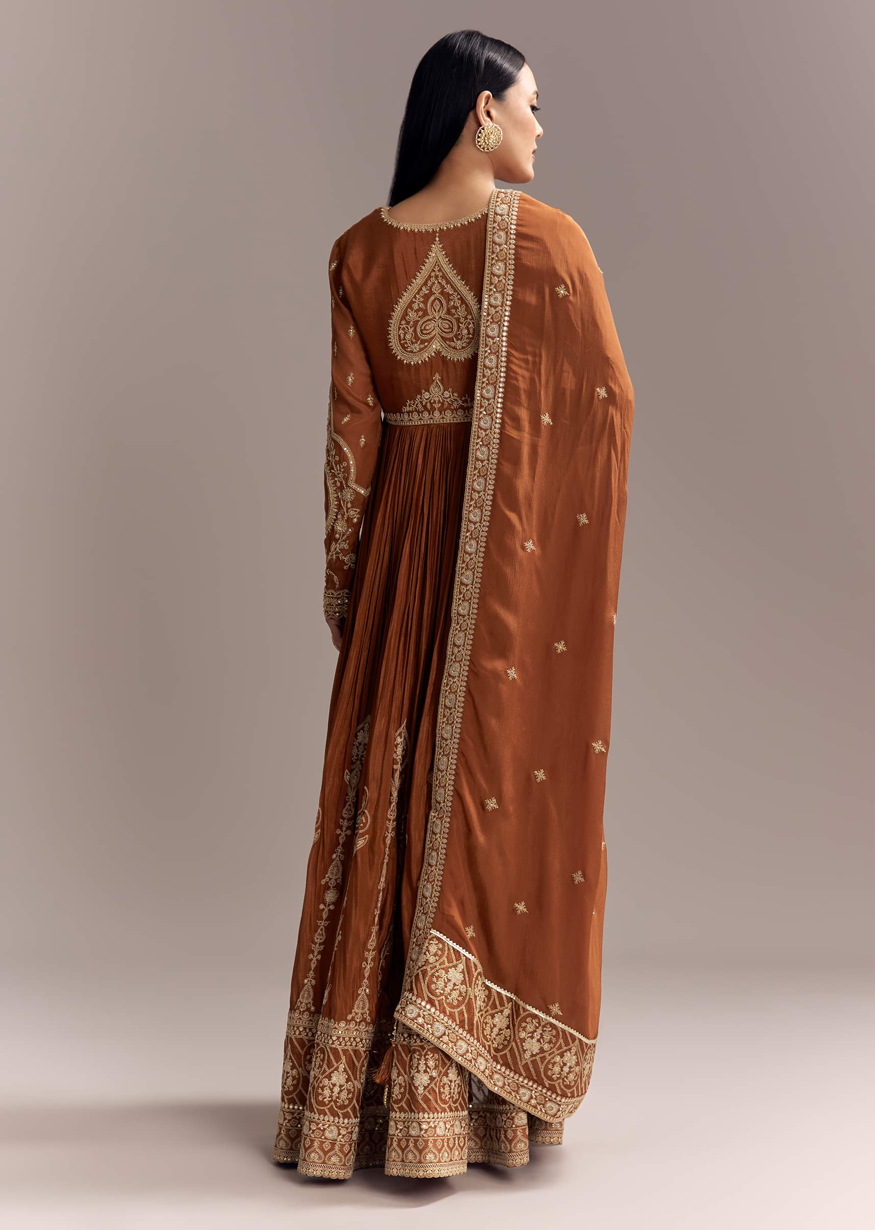 rust-chinon-anarkali-suit-with-heavy-embroidery-sg338499-5.jpg